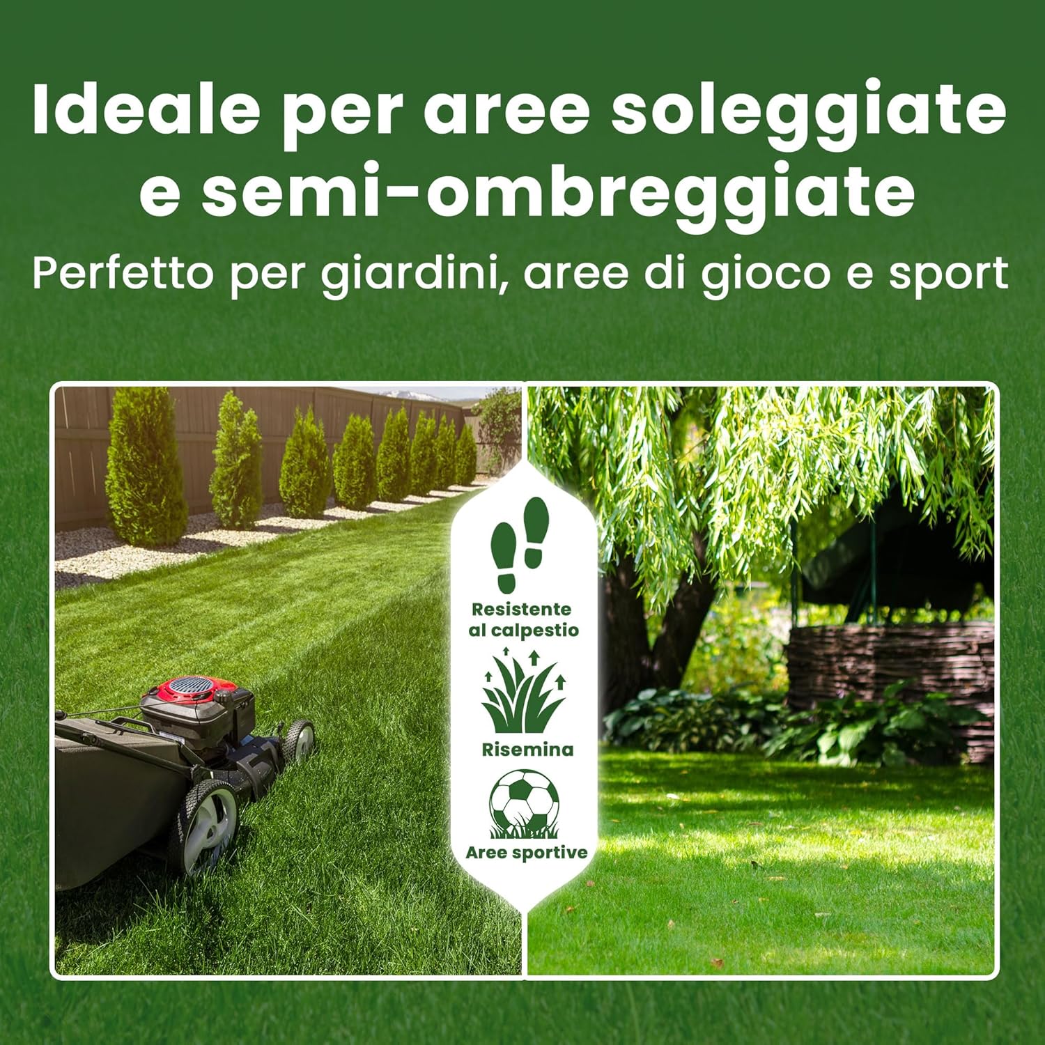 Thumbnail 5 de LERAVA® EXPRESS semi prato crescita rapida (30m²) – Giflo di prato resistente e verde tutto l’anno