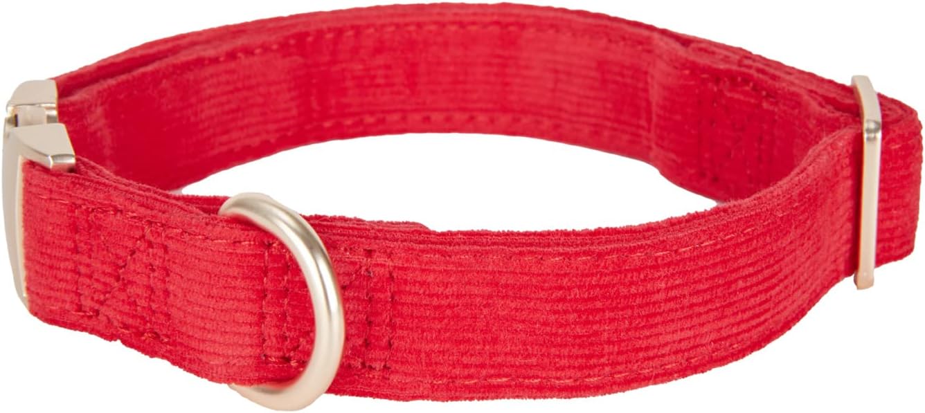 Thumbnail 3 de Petiry Soft Dog Collar Corduroy 40–66cm