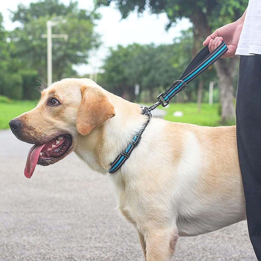 Thumbnail 4 de Short Dog Leash, No Pull Nylon Traffic Lead with Padded Handle for Training Control Large/Medium Dogs
