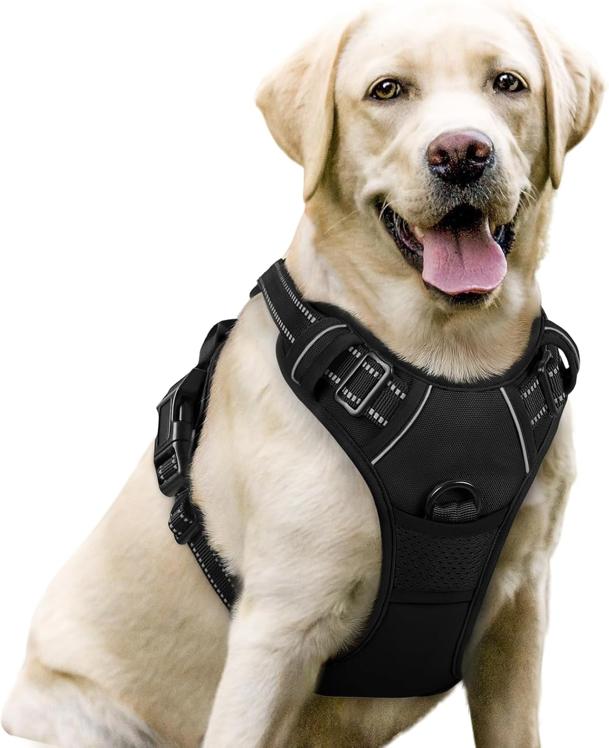 Detalle de rabbitgoo Hundegeschirr L