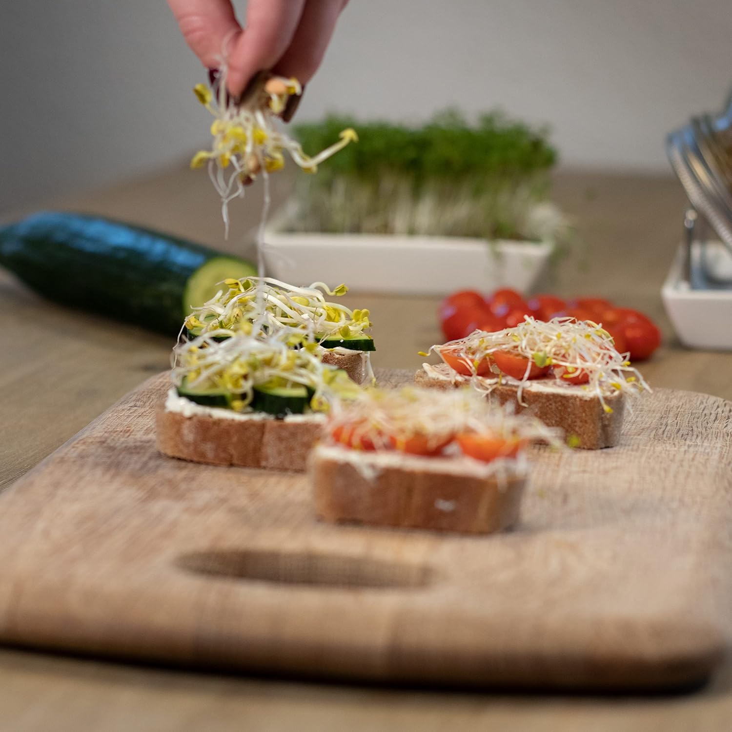 Thumbnail 3 de Green SEEDS Probierset 10er 🌱