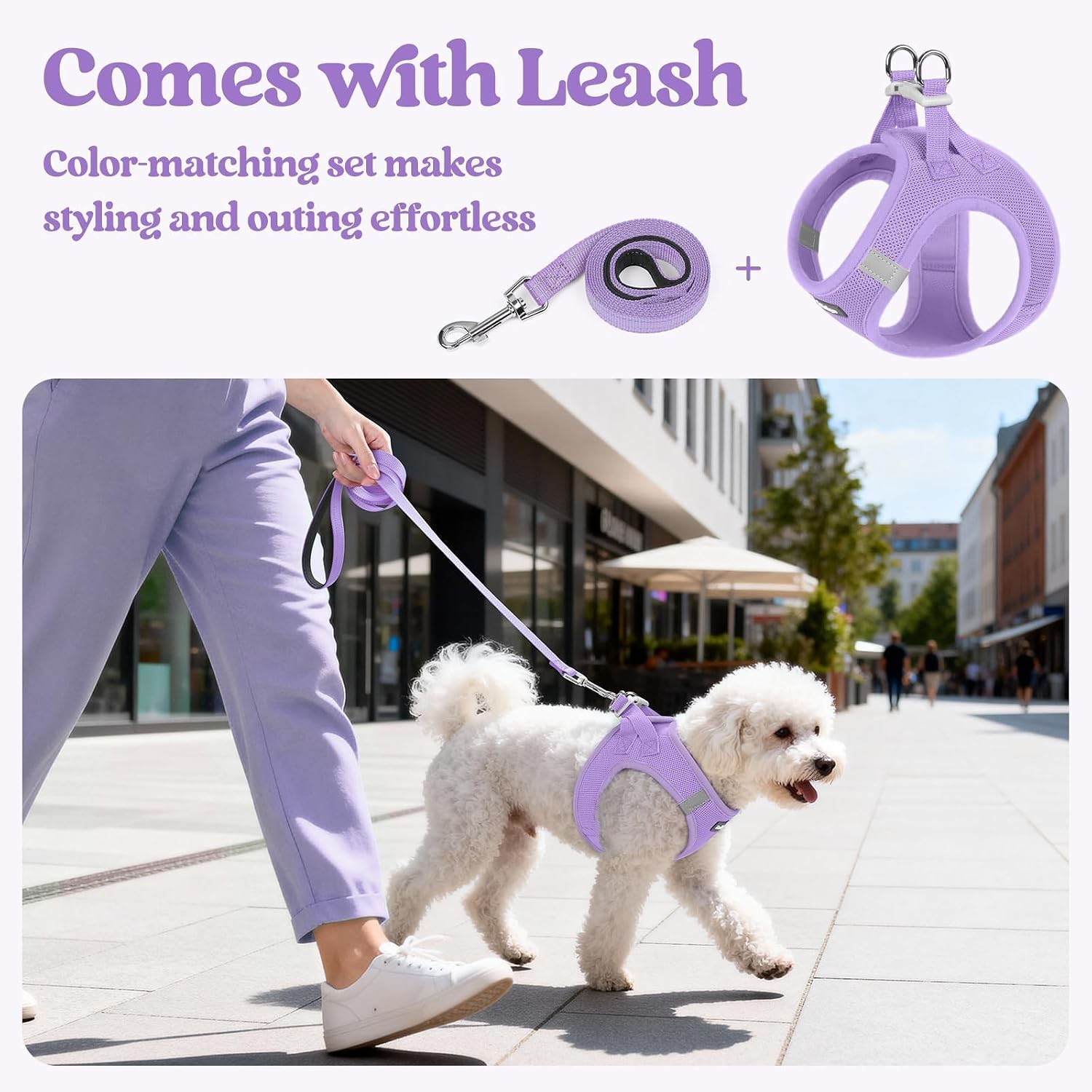 Detalle de rabbitgoo Small Dog Step-in Soft Mesh Harness & Lead Set (Reflective Strips) – Light Purple, S