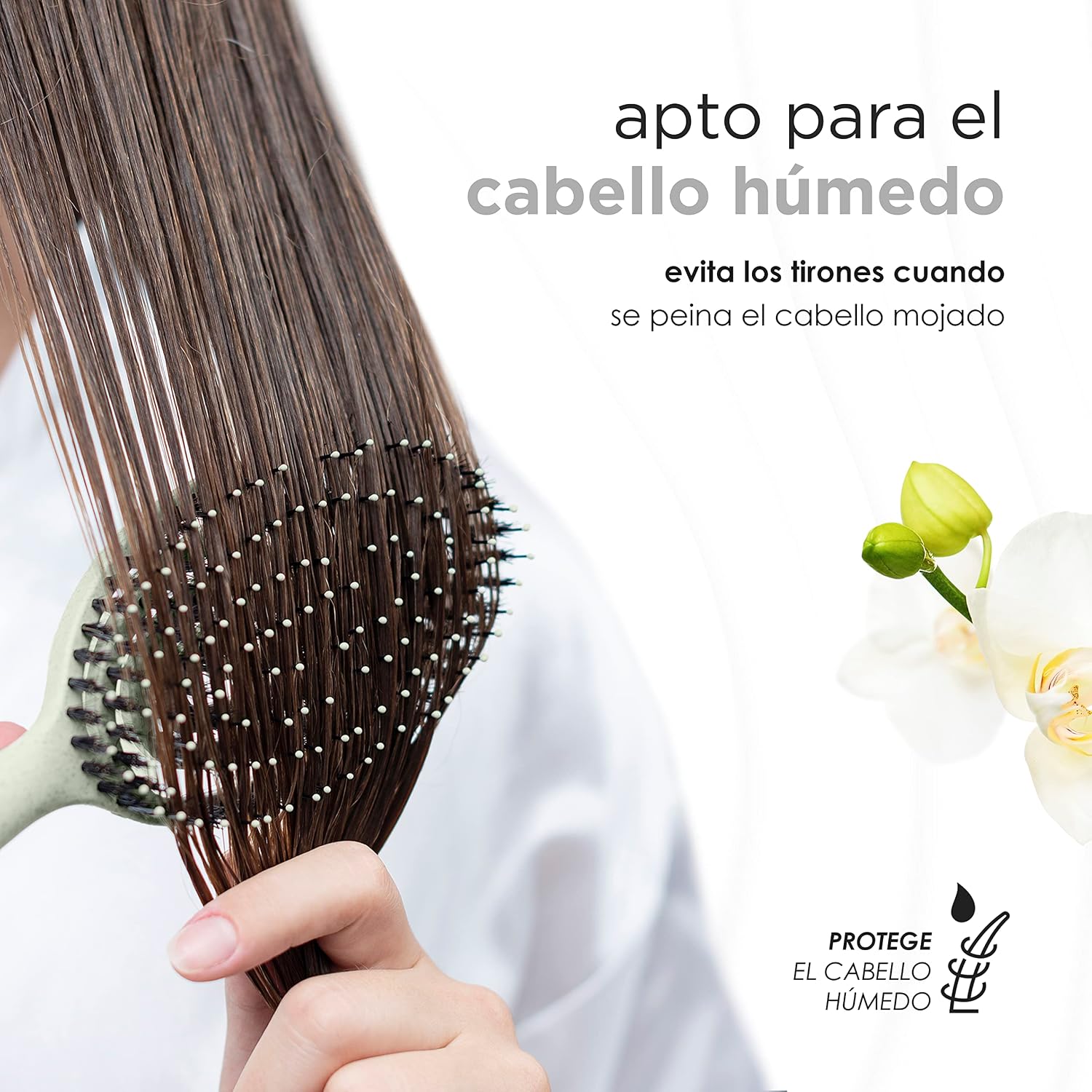 Thumbnail 5 de FABCARE Cepillo de Cerdas de Jabalí para Peinar 💇♀