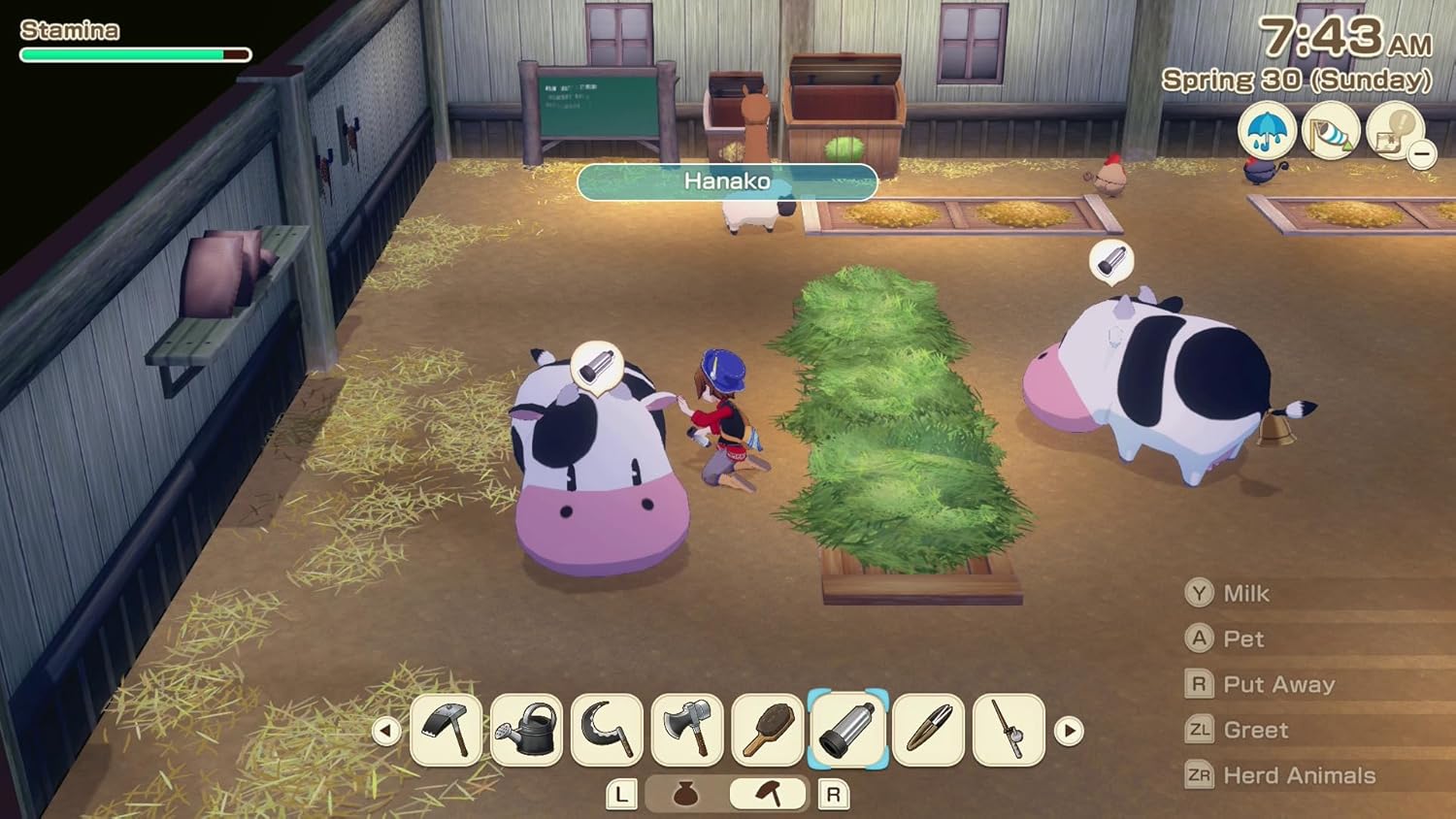 XSEED Games Story of Seasons: Grand Bazaar for Nintendo Switch 2