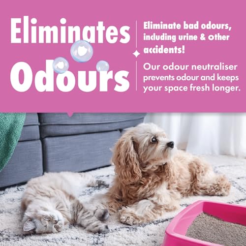 Thumbnail 6 de Dirtbusters Pet Pro Carpet Cleaner Shampoo: Urine & Odour Remover (1L)