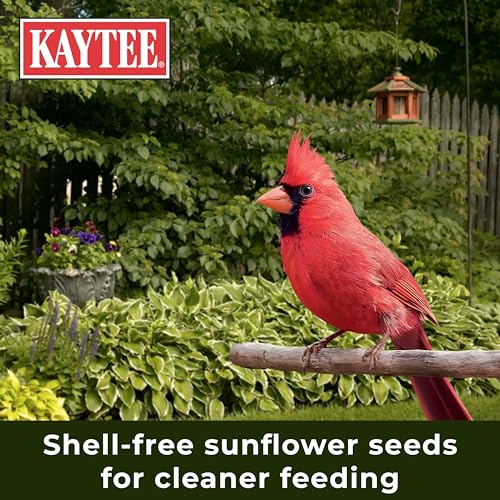Detalle de Kaytee Wild Bird No Mess Seed Blend for Blue Jays, Woodpeckers, Juncos, Cardinals, Grosbeaks, Sparrows, and Finches (10 lb)