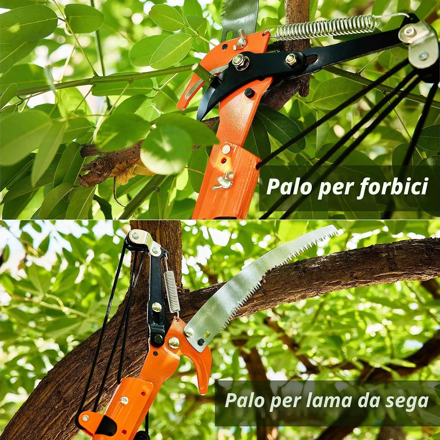 Thumbnail 4 de Roomark Cesoie telescopiche da 2-8 m: potatura sicura e versatile per giardino