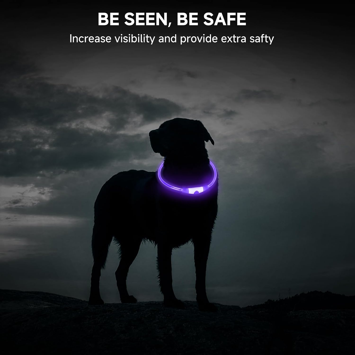 Thumbnail 5 de Light Up Dog Collar LED 70cm Purple