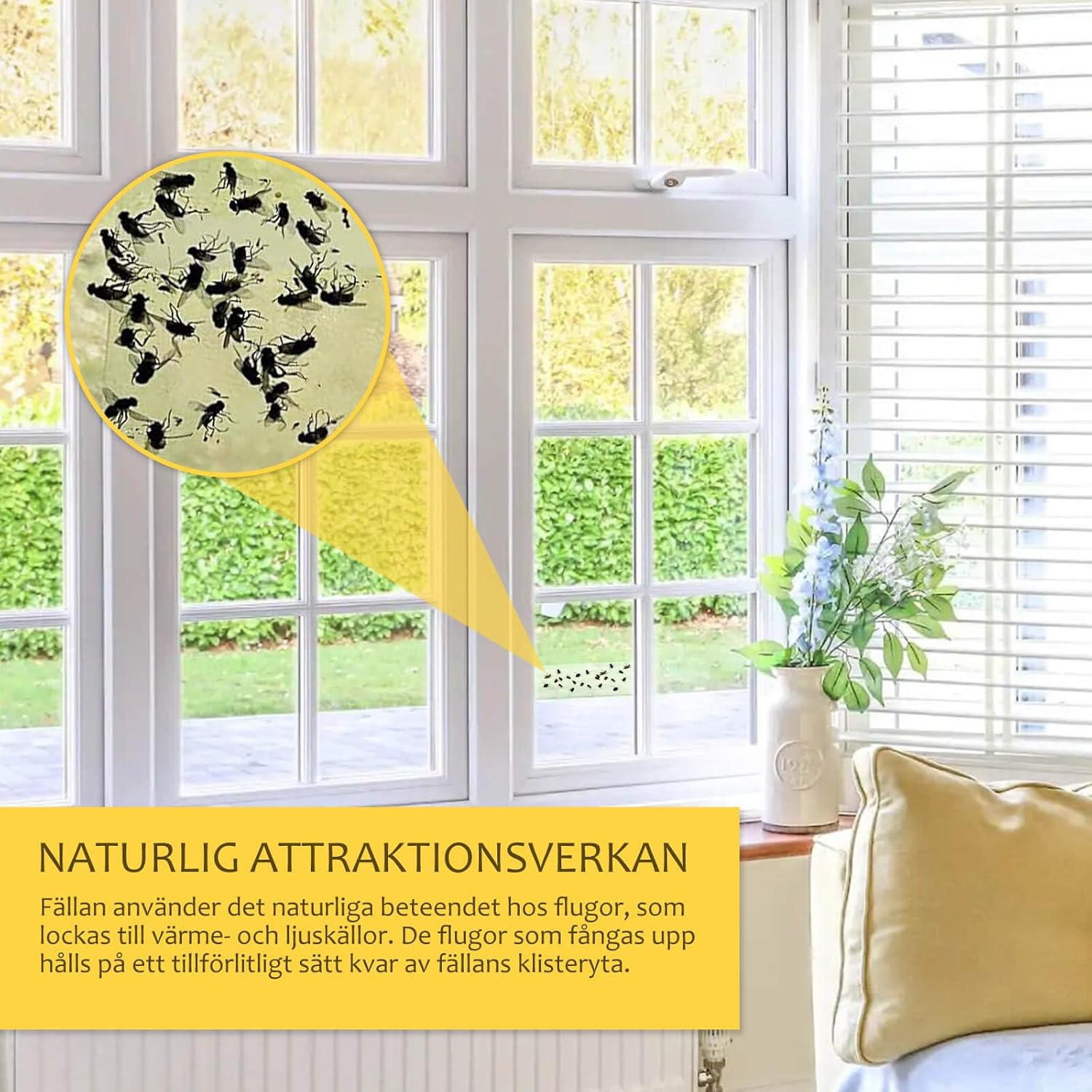 Detalle 2 de Blooven B3PBK01 fönsterflugfälla, giftfri och transparent, 40 stycken