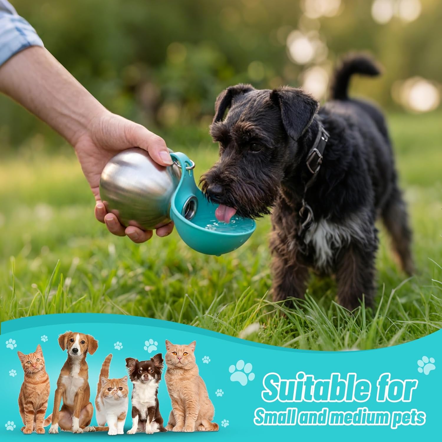 Thumbnail 6 de Portable Dog Water Bottle – 2-in-1 Stainless Steel Travel Bottle with Foldable Silicone Bowl (285ml)