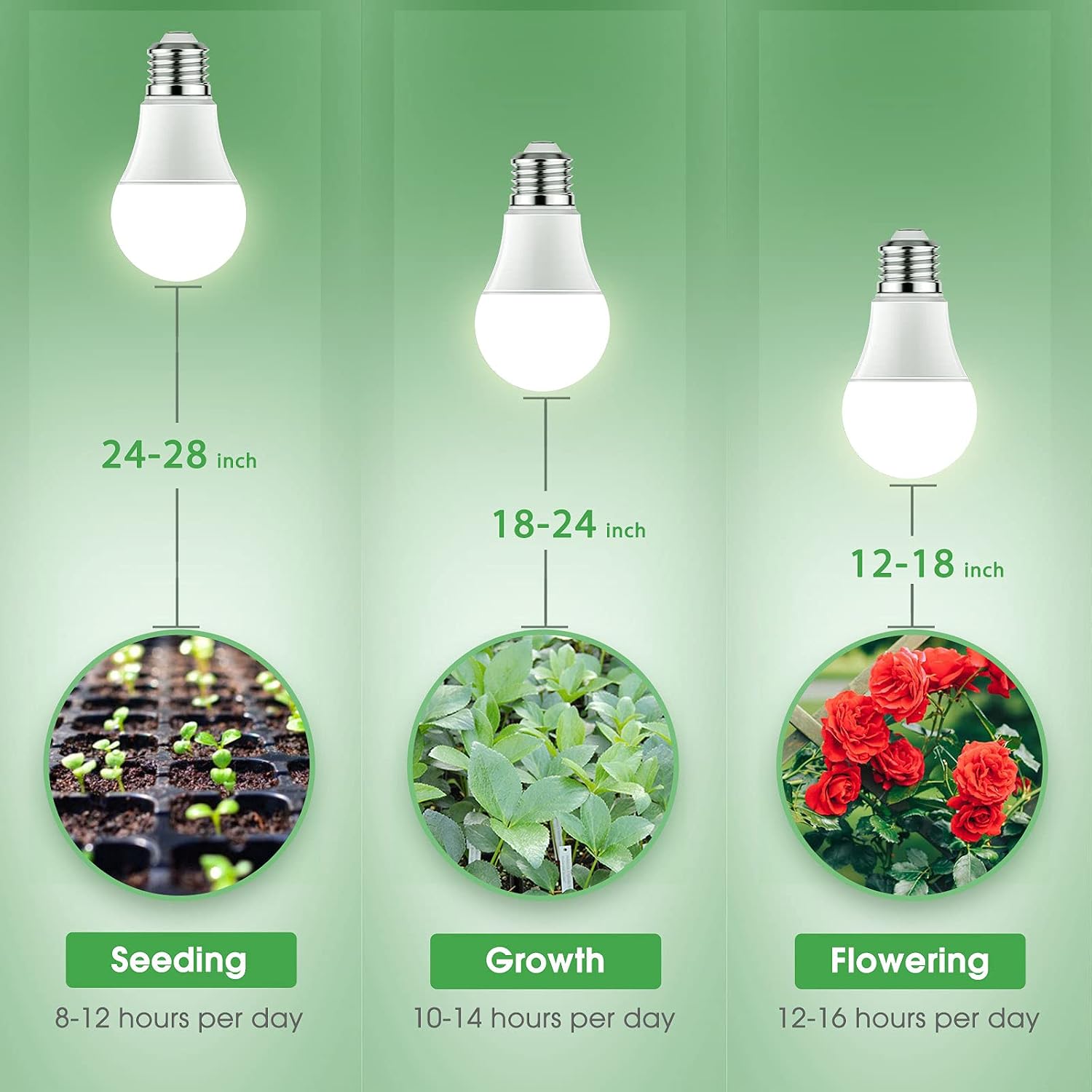 Thumbnail 6 de Briignite A19 Full-Spectrum LED Grow Light Bulbs, 11W, E26, 2-Pack