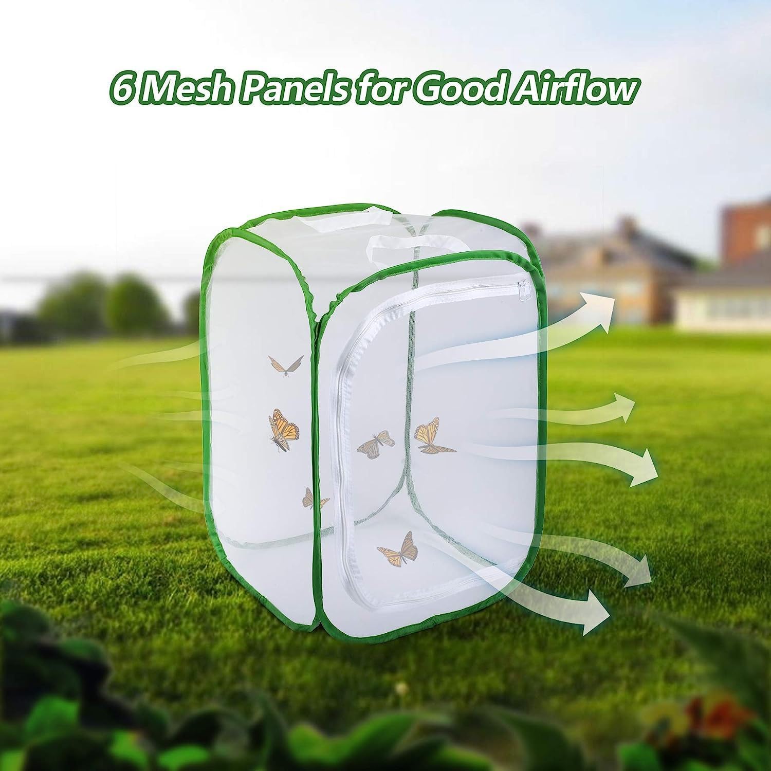 Thumbnail 3 de Butterfly and Insect Habitat Cage by Ompinda: Collapsible, Transparent Pop-up Enclosure for Caterpillars and Flying Insects