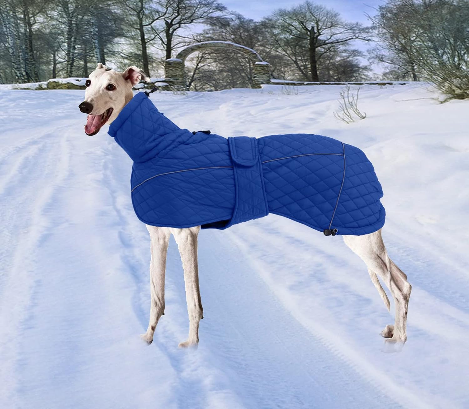 Thumbnail 1 de Morezi Greyhound Lurcher Winter Coat (Navy) with harness hole and water-resistant protection – Small