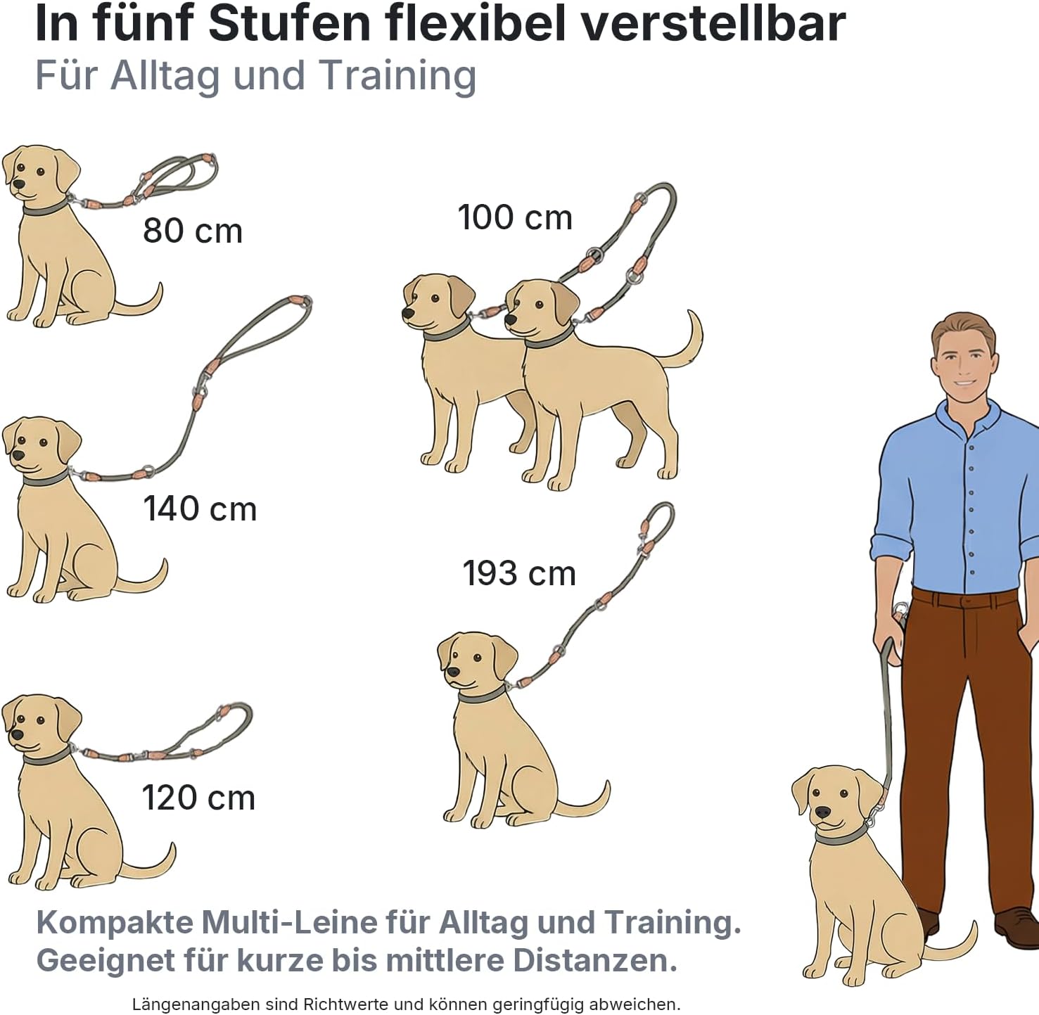 Detalle 2 de LeileiPaws 3 m verstellbare Multifunktions-Hundeleine aus Nylon & Leder – Führ-, Schulter- & Hüftleine (Schwarz, 2 m x 0,8 cm)