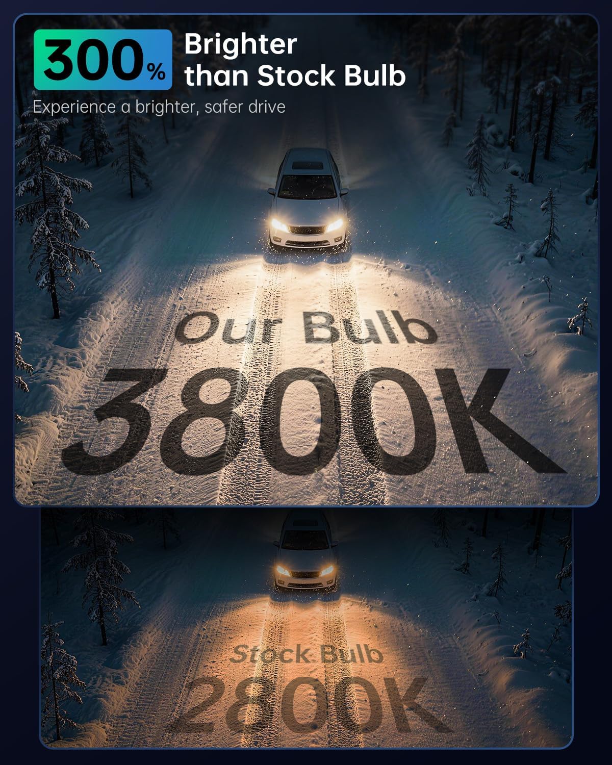 Thumbnail 1 de littlelucky H11 Halogen Bulbs — 3800K Warm White, 4000 LM, 12V/55W, 2-Pack Plug & Play