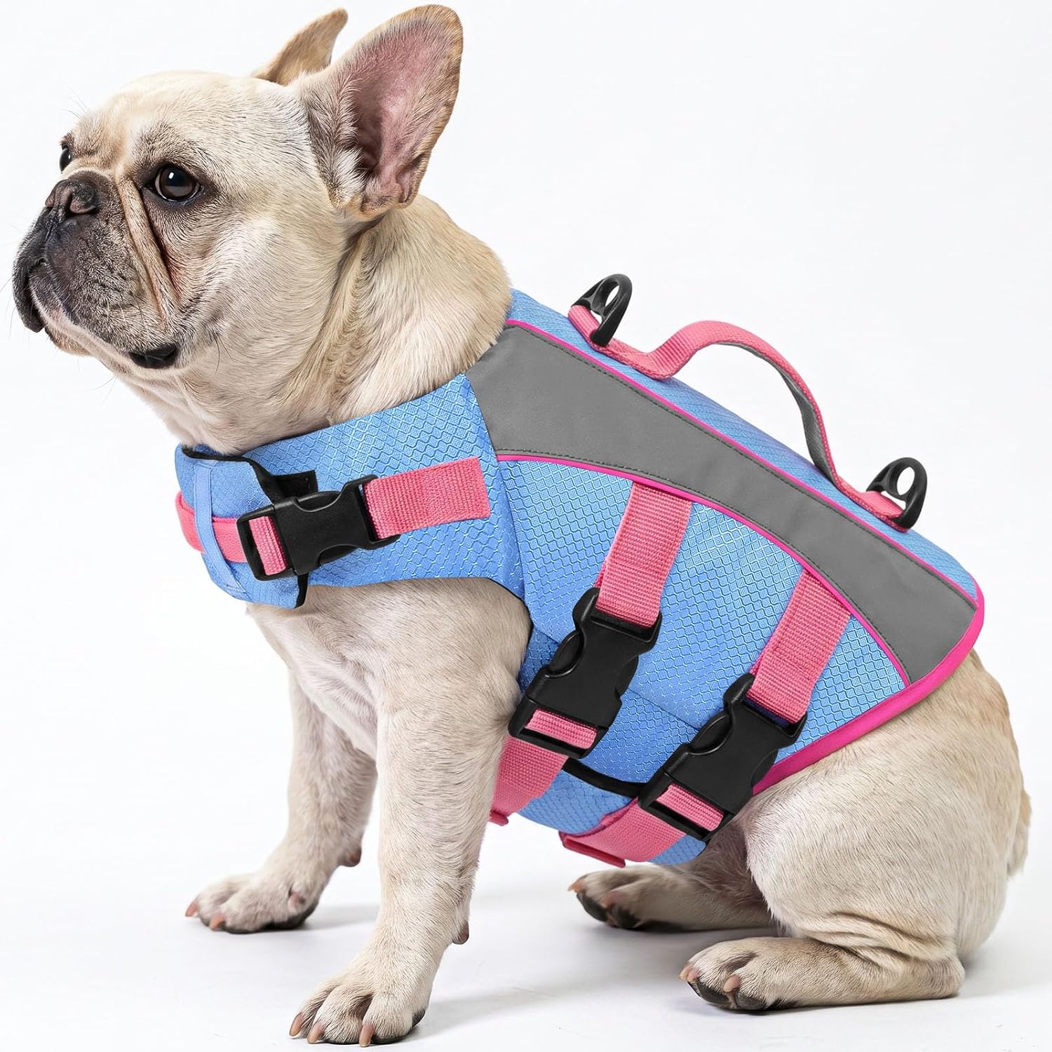 Detalle de Queenmore Dog Life Jacket, XS