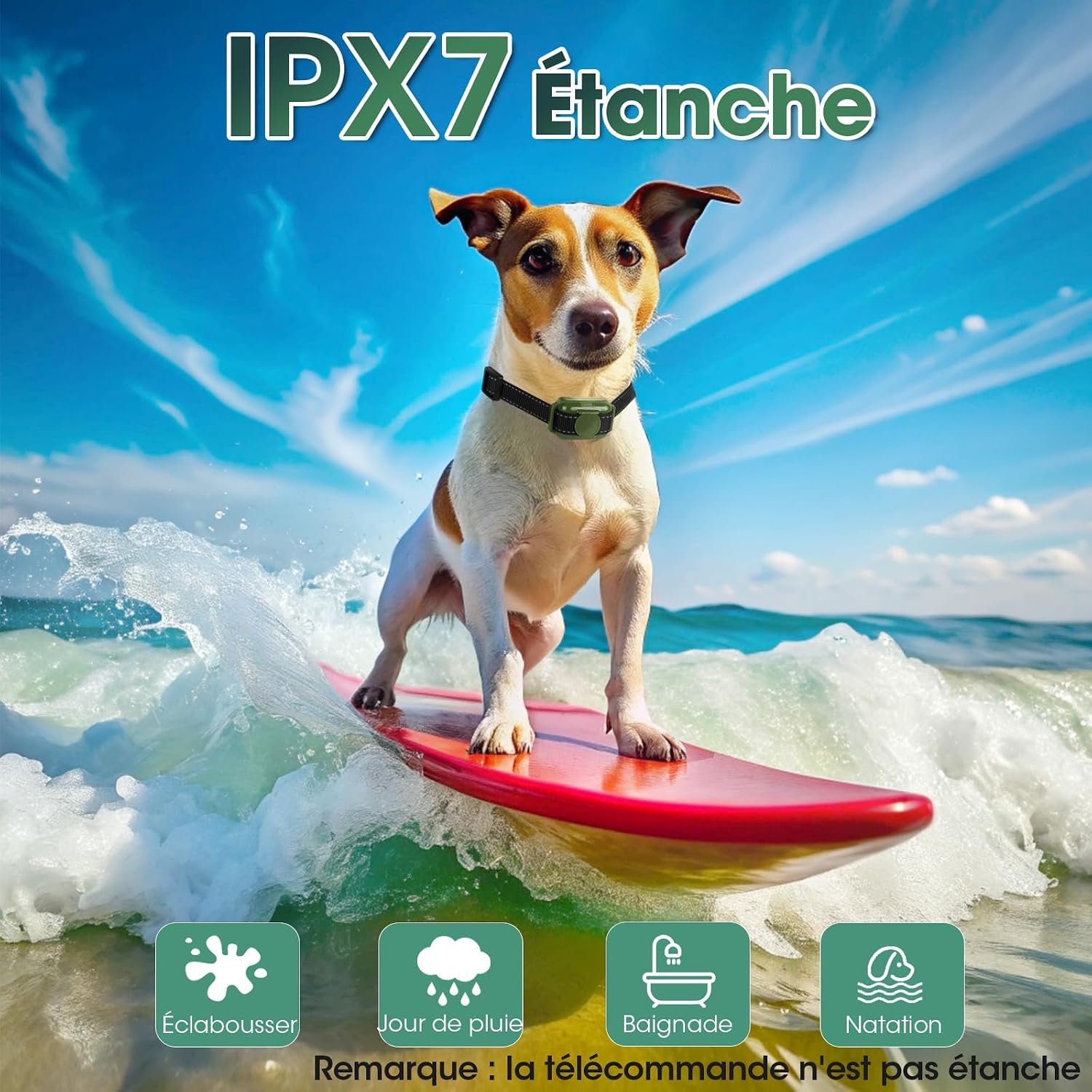 Detalle 2 de Collier de Dressage pour Chien – Électrique, Télécommande, Portée 2000 ft, 4 Modes, IPX7