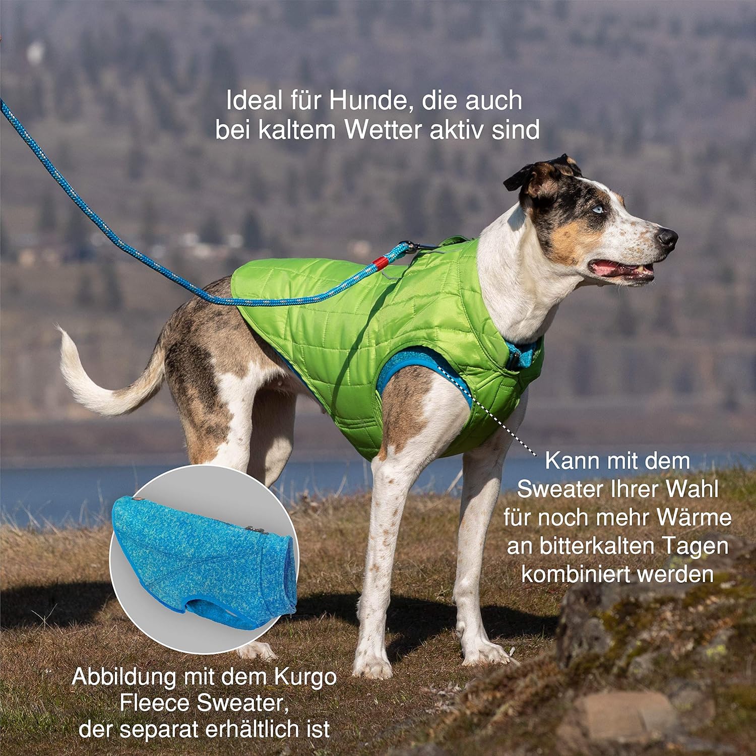 Detalle 2 de Kurgo Loft Hundejacke – Wasserdicht, reflektierend und mit Hundegeschirr kombinierbar (Größe XL, Grau/Lila)