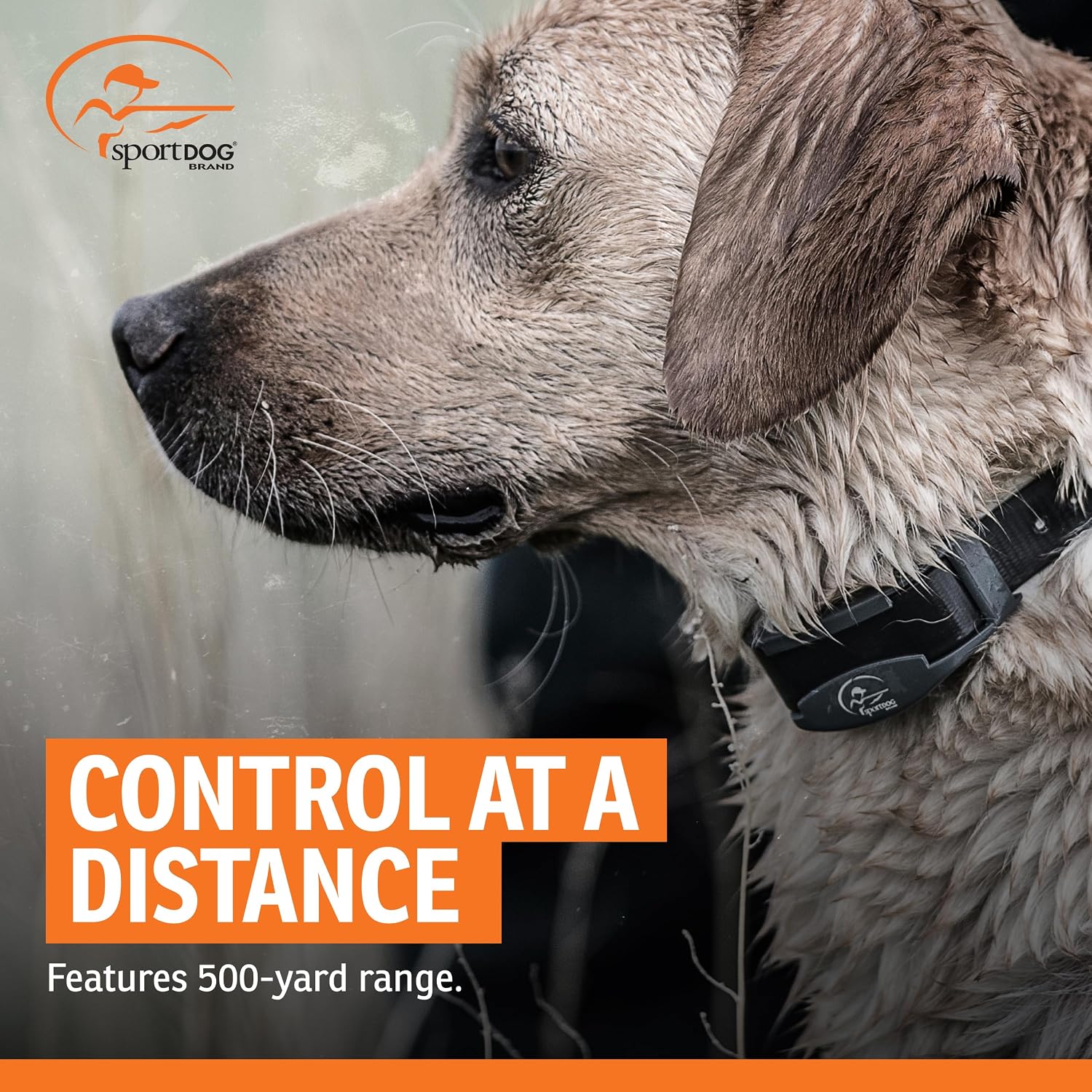 Thumbnail 6 de SportDOG Remote Dog Trainer 425XS