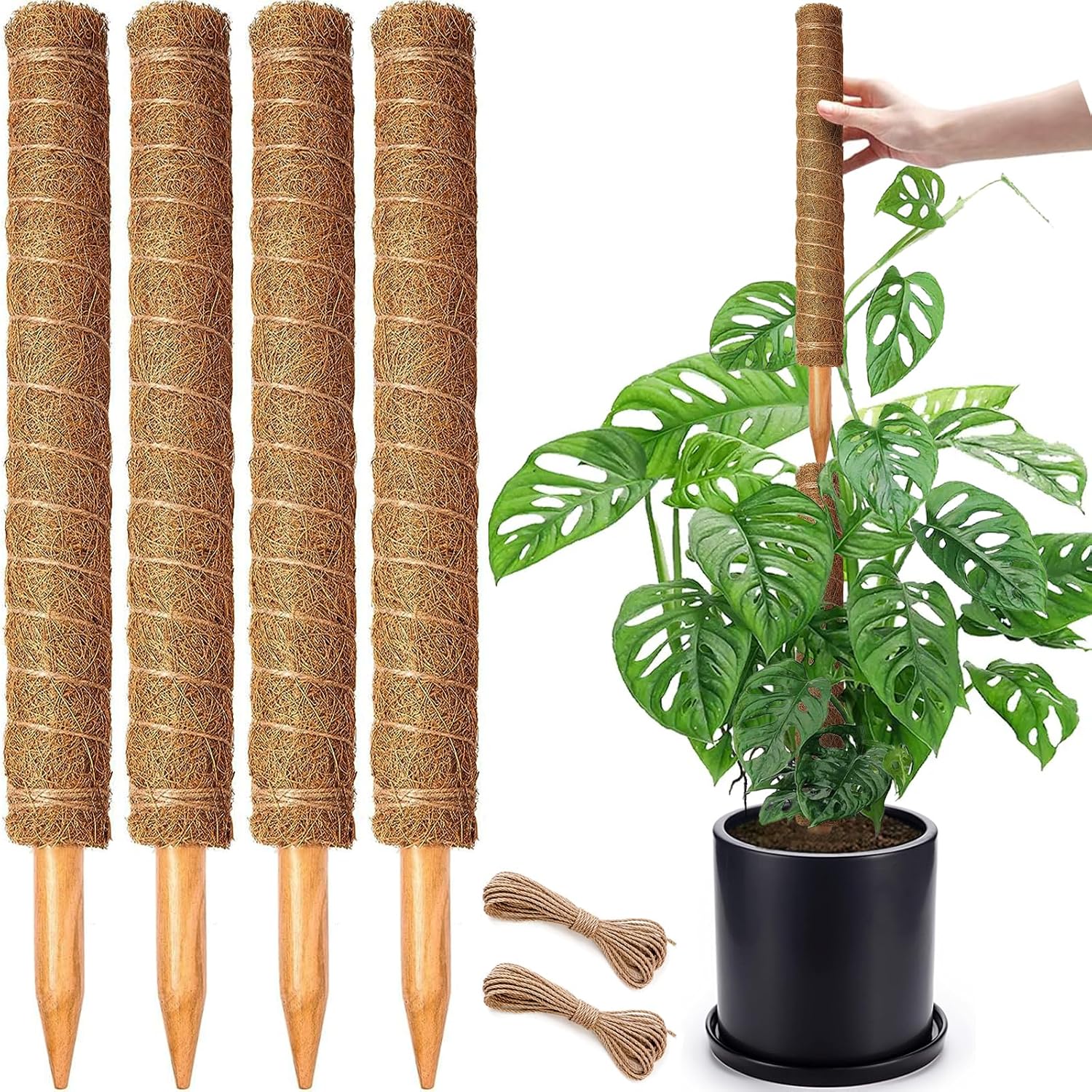 Detalle de CHIAFFI Moss Pole 18-Inch Coir Plant Supports, Stackable 4-Pack