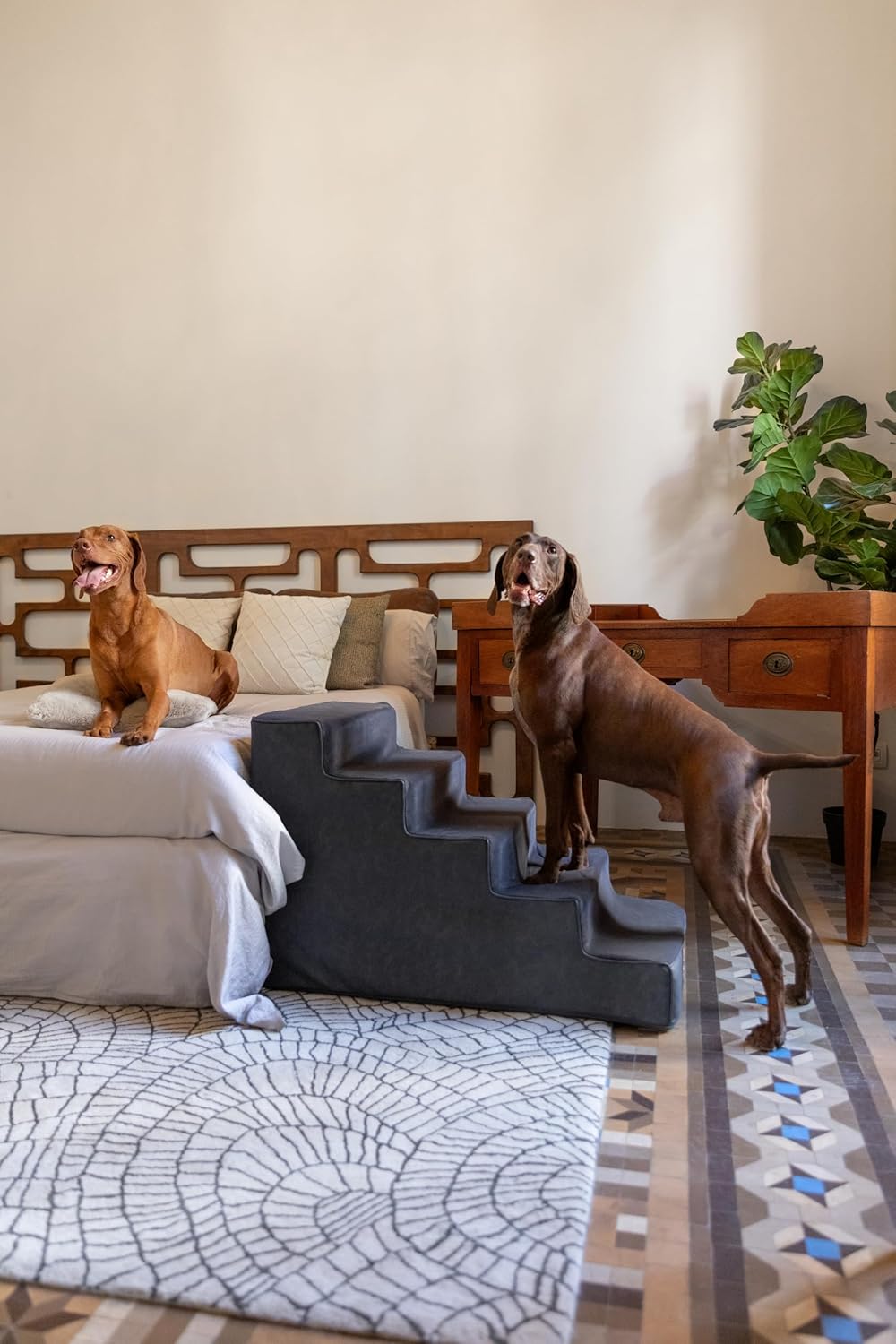 Thumbnail 1 de Noah & Paw Dog Stairs Leather Collection: 5-step Bed Ramp (20" Extra Wide) for All Breeds