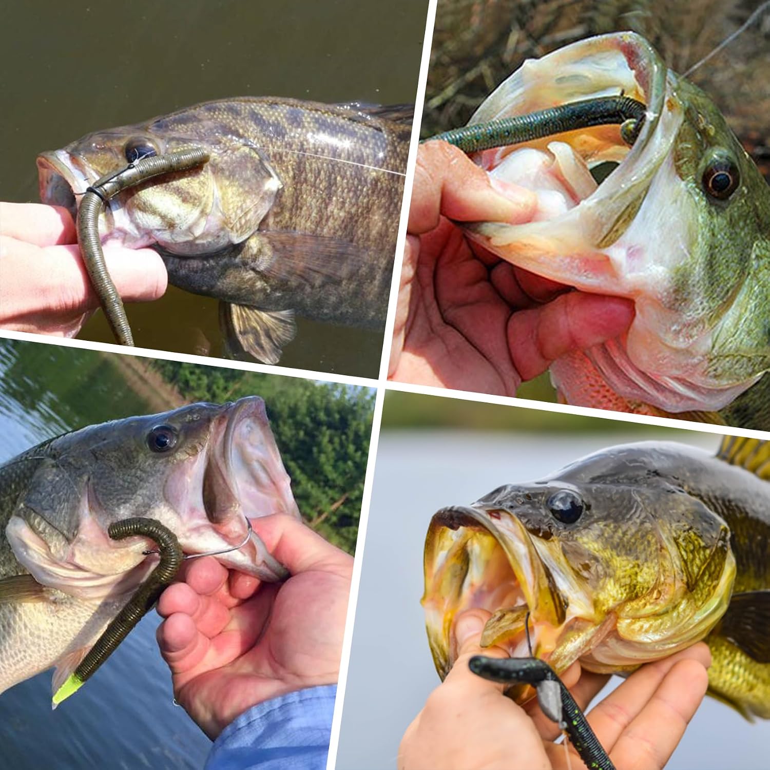 Thumbnail 6 de Truscend Gradient Wacky Rig Tool with Silicone O Rings (210 Pcs) for 3"-4" and 5"-7" Worm Lures