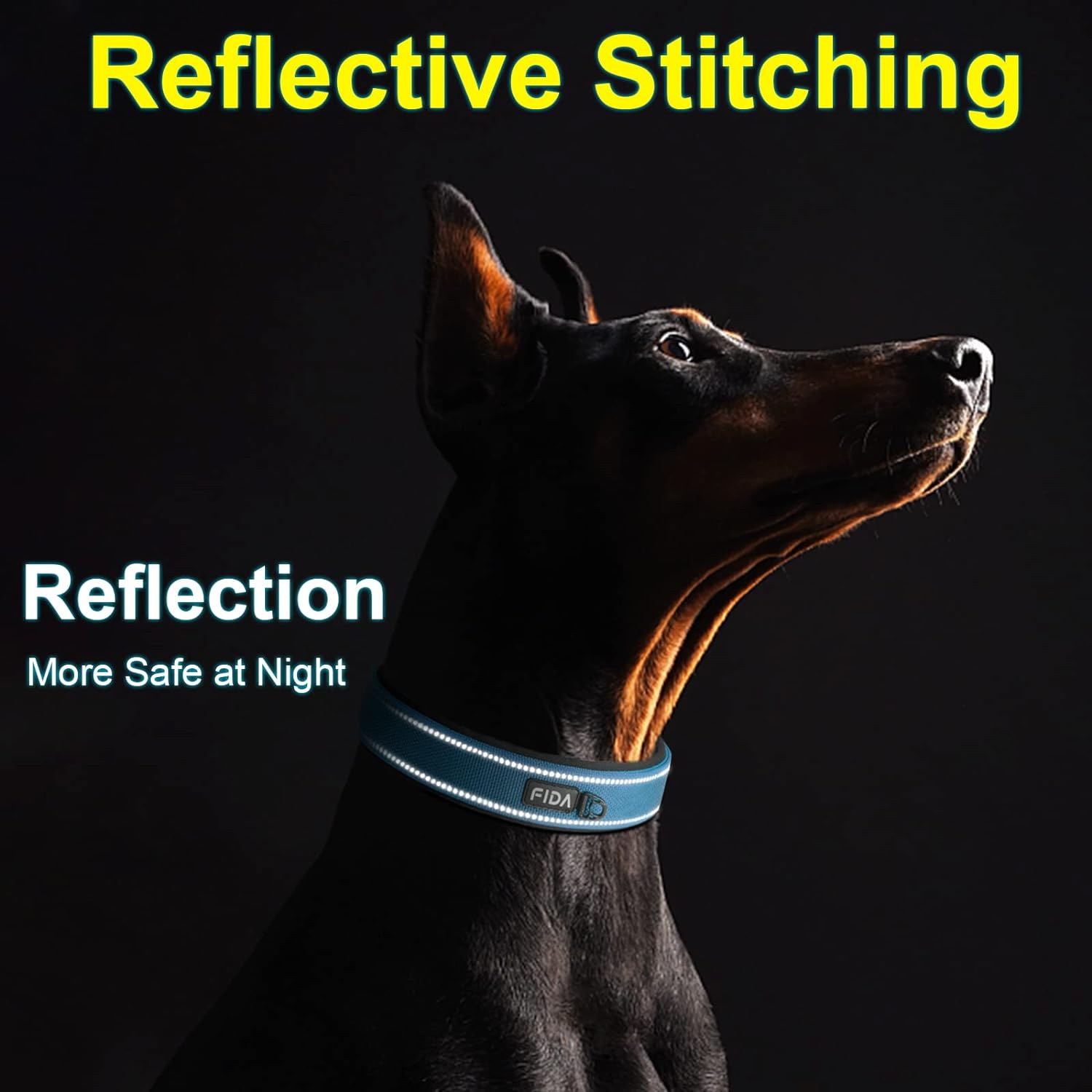 Thumbnail 4 de Fida padded dog collar with double-layer webbing and heavy-duty metal buckle (Blue) — medium