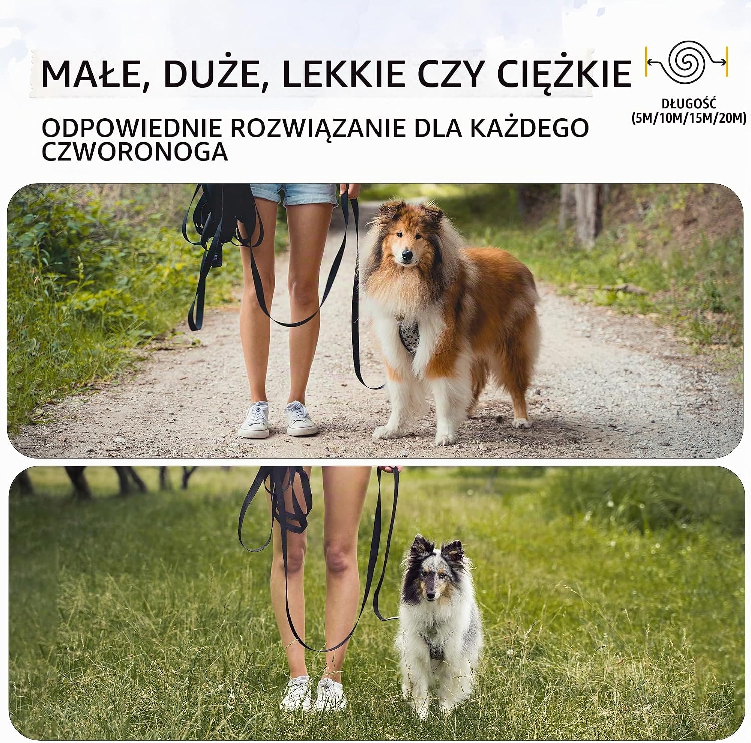 Thumbnail 6 de Rudelkönig smycz treningowa dla psa 5 m z nylonu, wyściełanym uchwytem i karabińczykiem