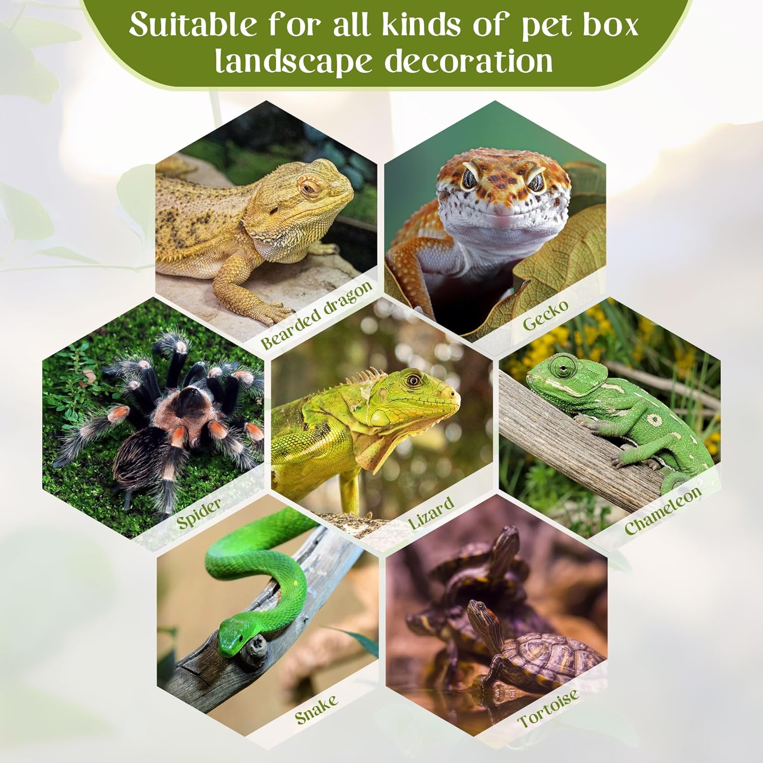 Detalle 2 de Filhome Reptile Plants for Terrarium Decor – Realistic, Durable Habitat Greenery for Reptiles and Amphibians