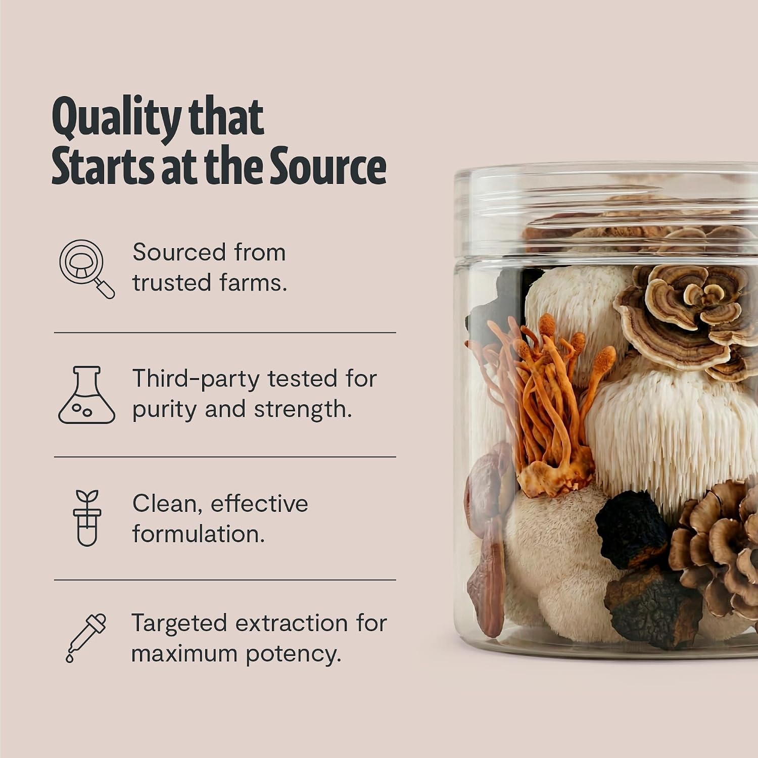 Detalle de FreshCap Mushroom Powder 60 Servings