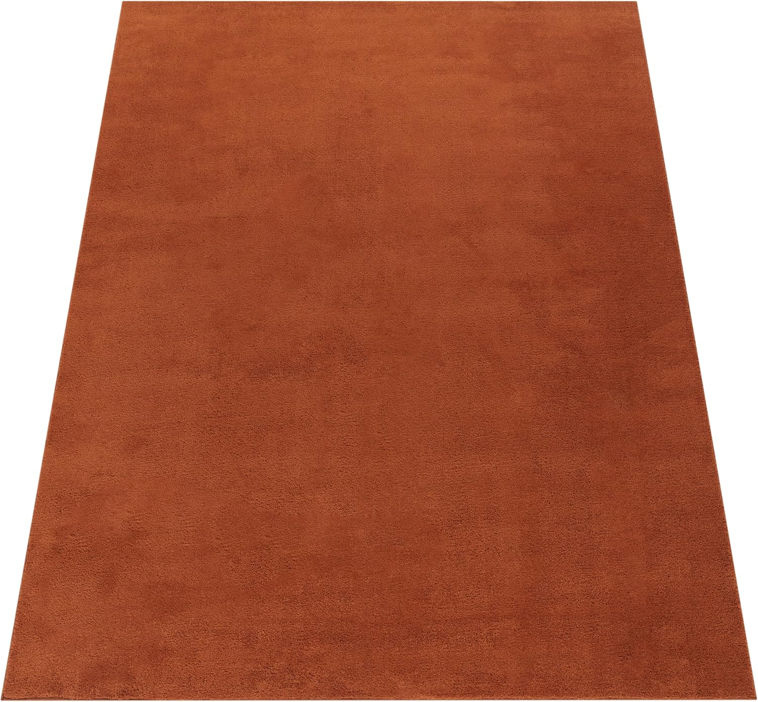 Thumbnail 5 de Paco Home Tapis 300x400 cm đ