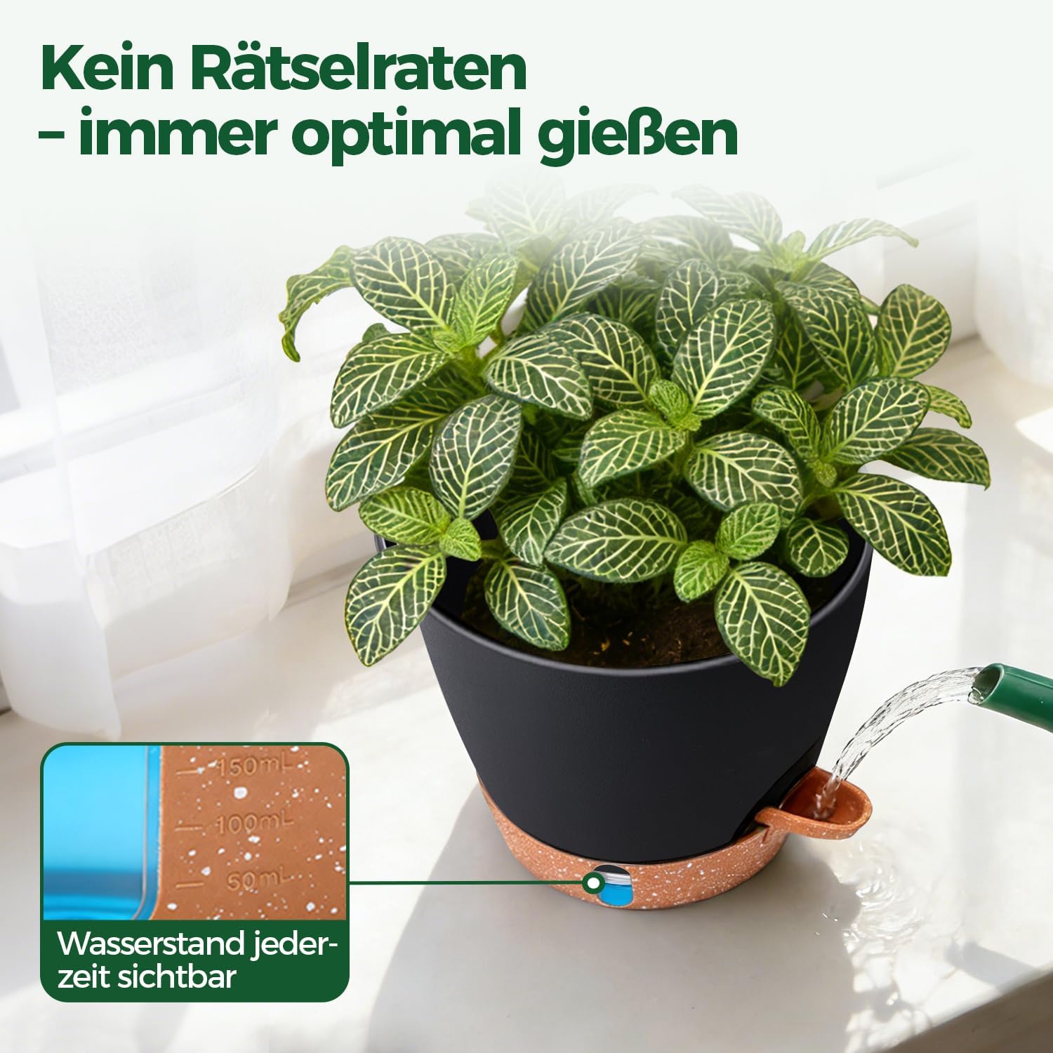 Detalle 2 de T4U Kräutertopf 4er Set mit Selbstbewässerung