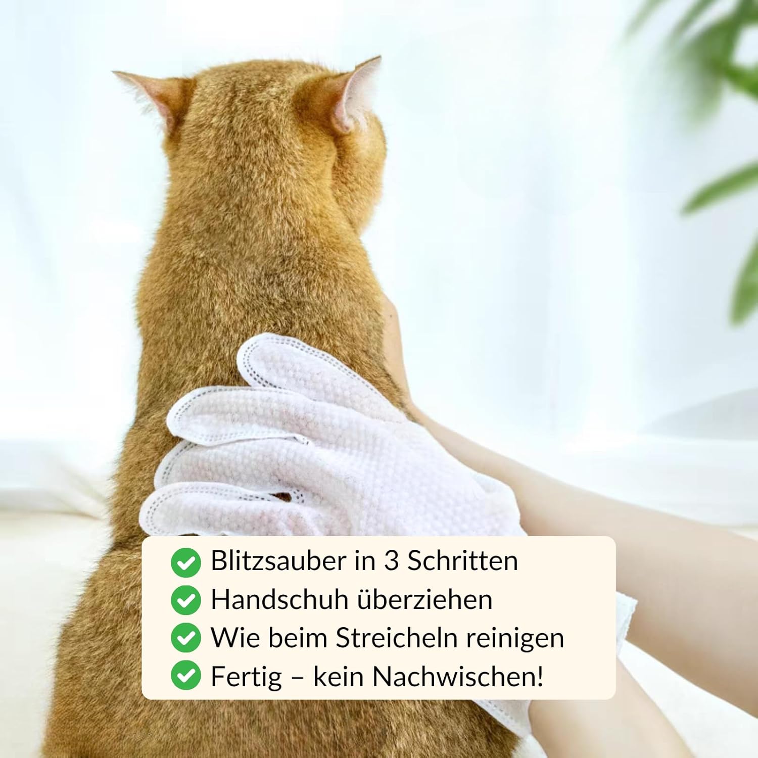 Detalle 2 de RumbleBox Handschuh-Feuchttücher für Katzen & Hunde – Präzise Reinigung und sanfte Fellpflege