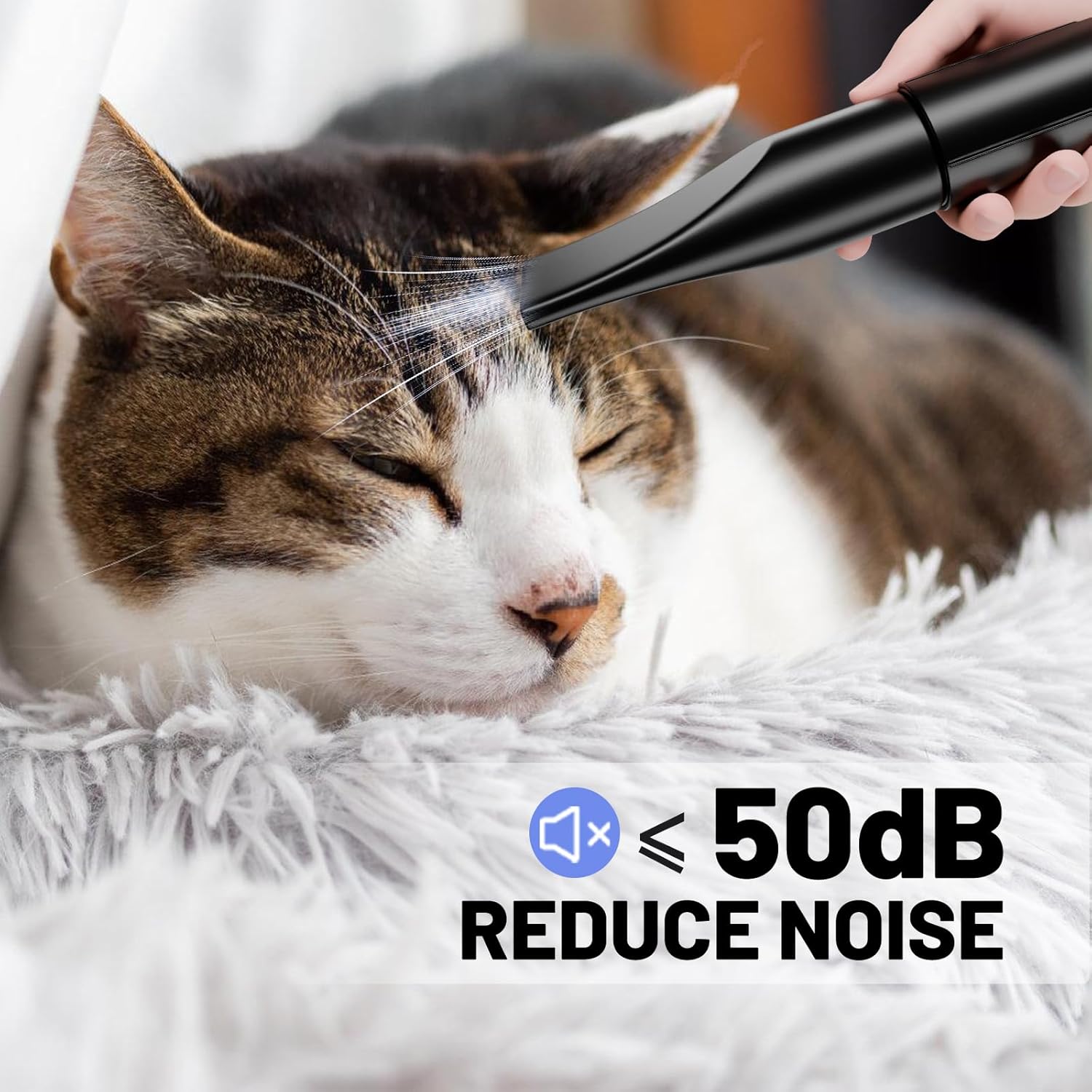 Detalle de Blanlody Hundeföhn Blower 3800 W (5,2 PS) – sehr leise, stufenlos einstellbar, mit 4 Düsen