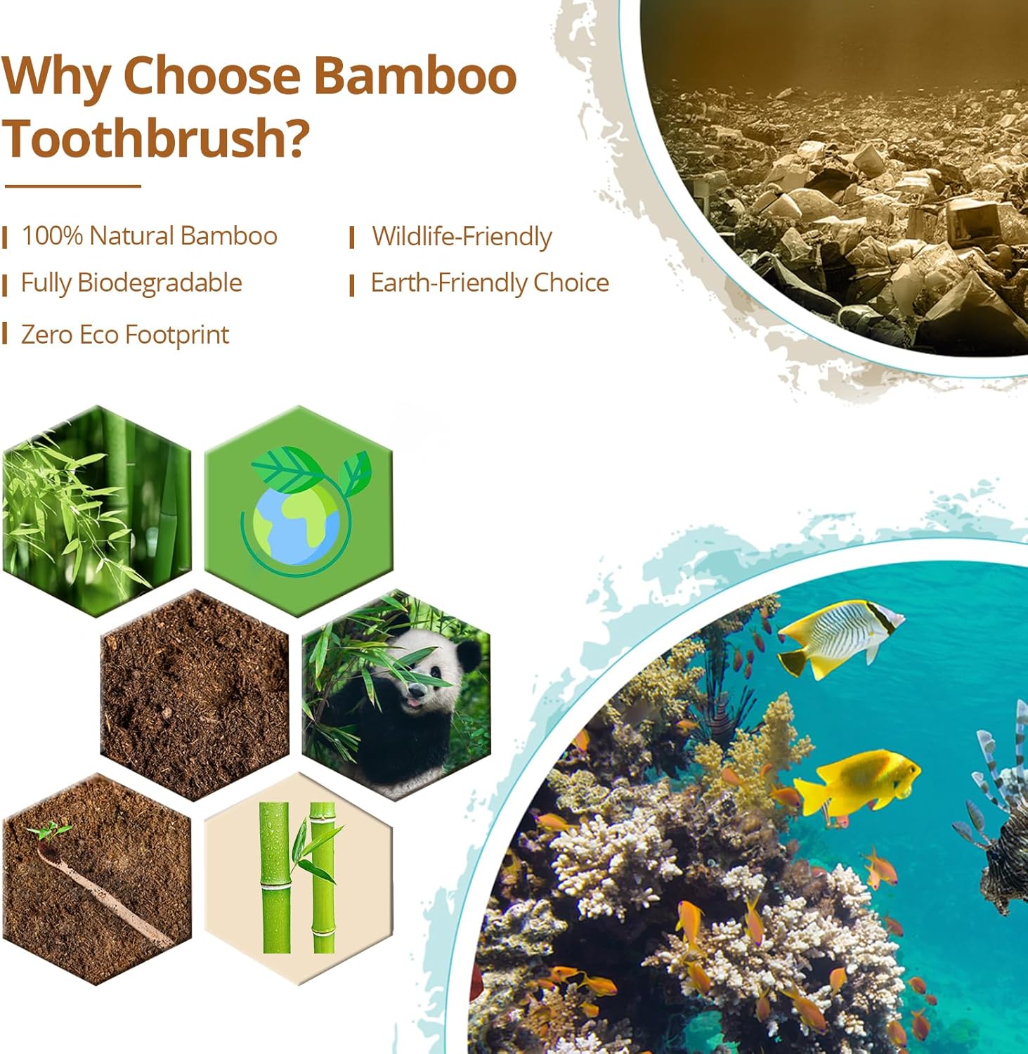 Detalle de Virgin Forest 10 Count Bamboo Toothbrush pack 🪥