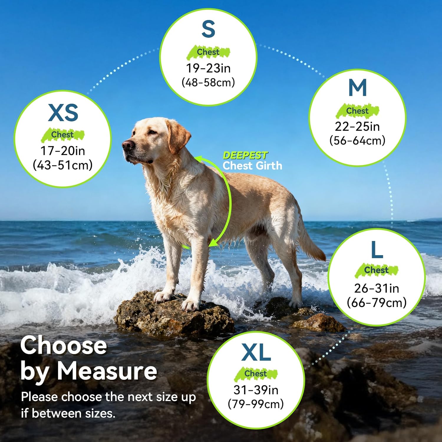 Detalle de VIVAGLORY Sports Style Dog Life Jacket – Lightweight Buoyancy Vest for Safe Swimming