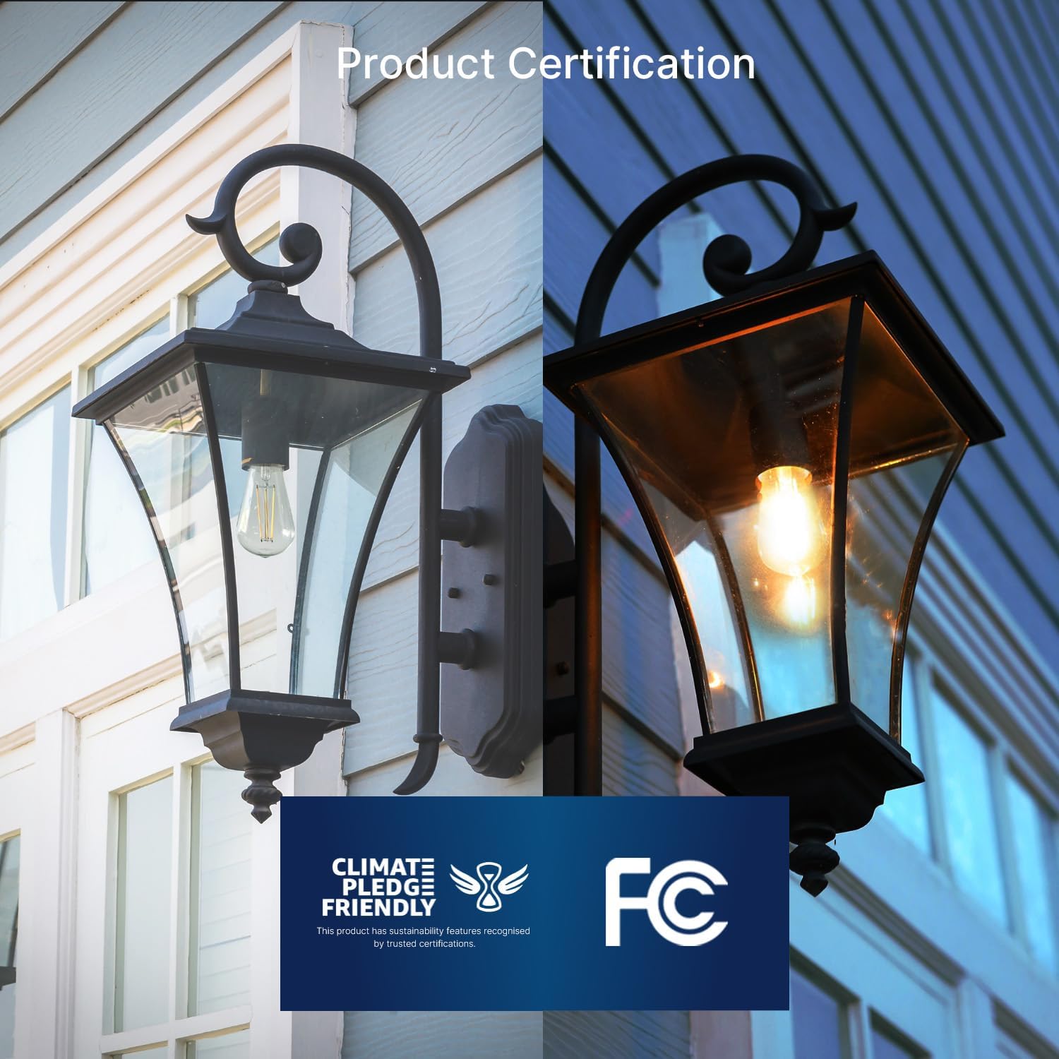 Detalle 2 de FLSNT outdoor sensor LED bulb, ST19