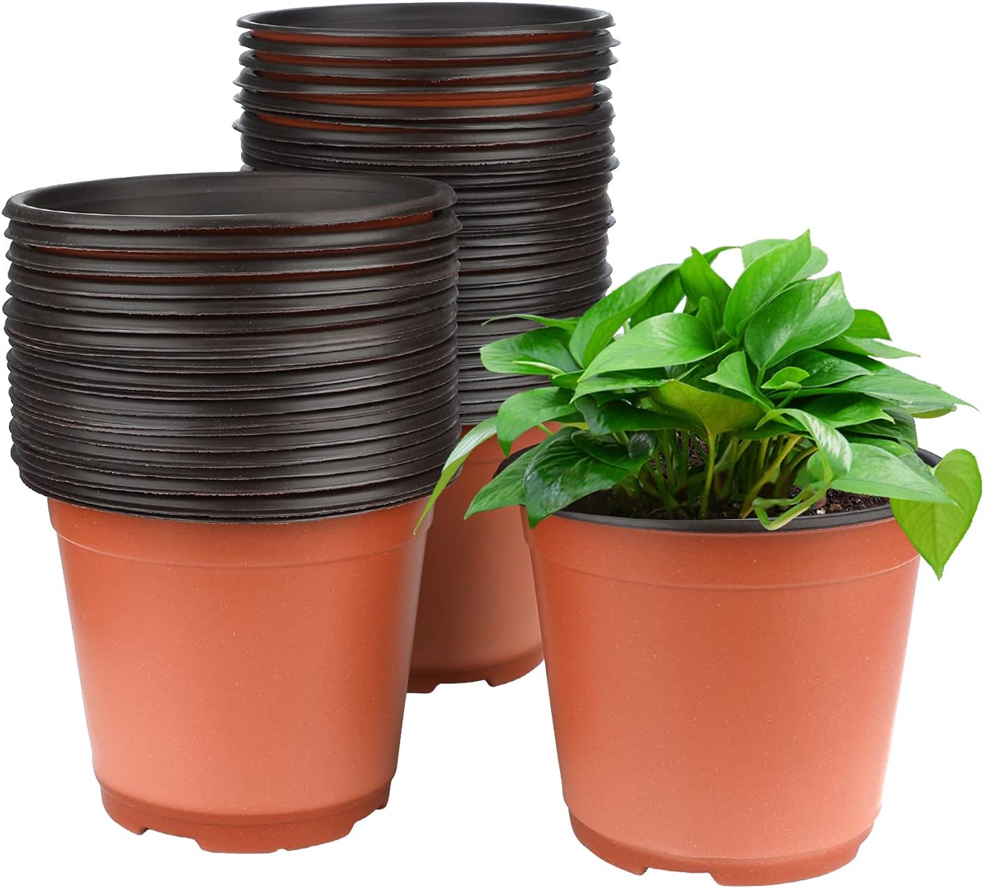 Detalle de KINGLAKE plastic plant pots 15 cm, 50 pack