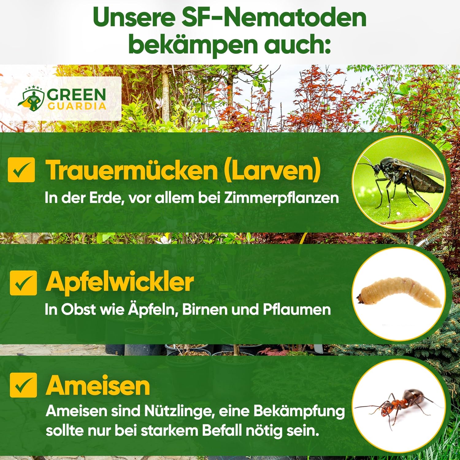 Thumbnail 3 de GREEN GUARDIA Power SF-Nematoden – 4 Mio. (40 Pflanzen/8m²) gegen Trauermücken