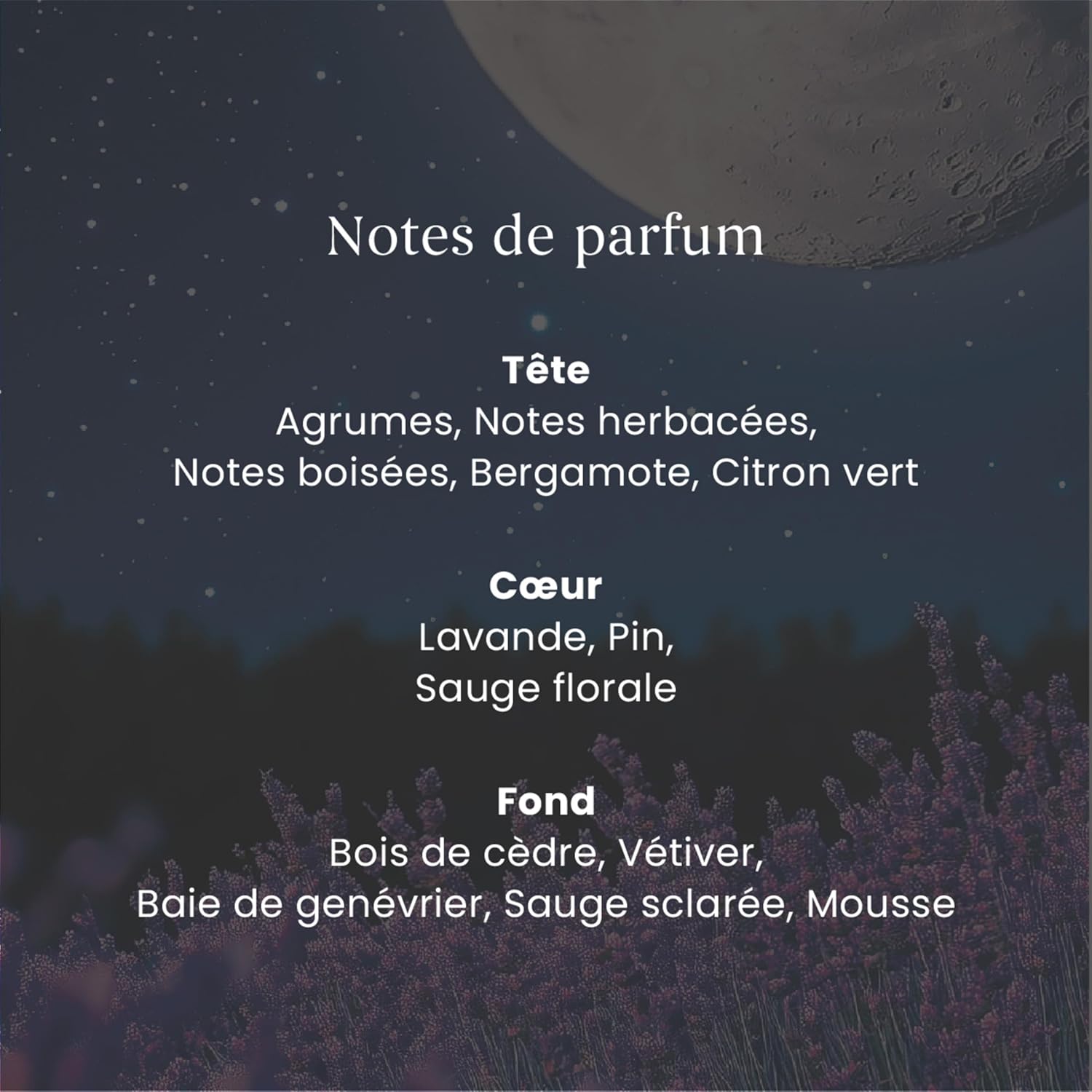 Detalle de Yankee Candle Diffuseur à bâtonnets Nuit de Midsummer — parfum durable pour petits à moyens espaces