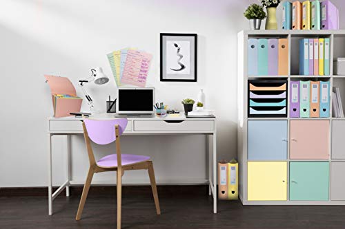 Detalle 2 de Exacompta MAG-CUBE Set de 4 portes