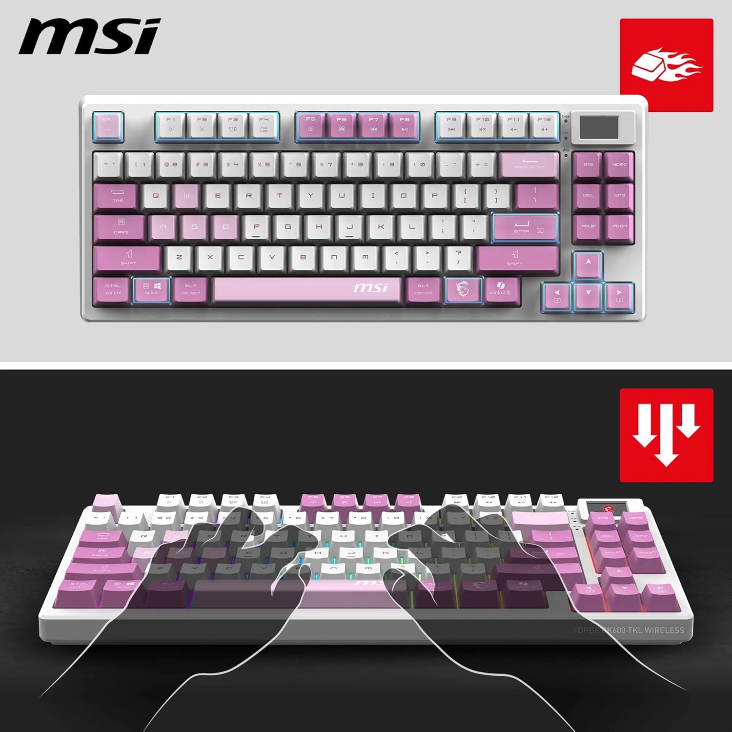 Thumbnail 2 de MSI Forge GK600 TKL Clavier Gaming Violet