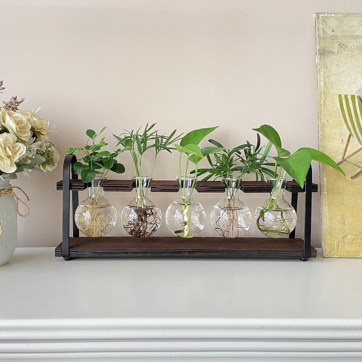 Detalle 1 de THYGIFTREE 4300 Five-Bulb Plant Propagation Station with Glass Vases