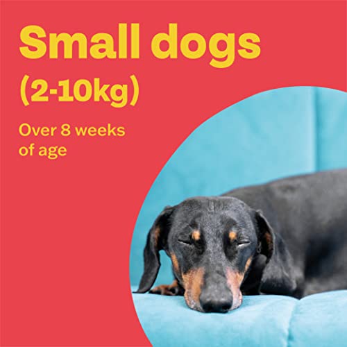 Detalle 2 de Bob Martin Clear Spot On Flea Treatment for Small Dogs (2-10kg) – Kills Fleas & Ticks (3 Pipettes)