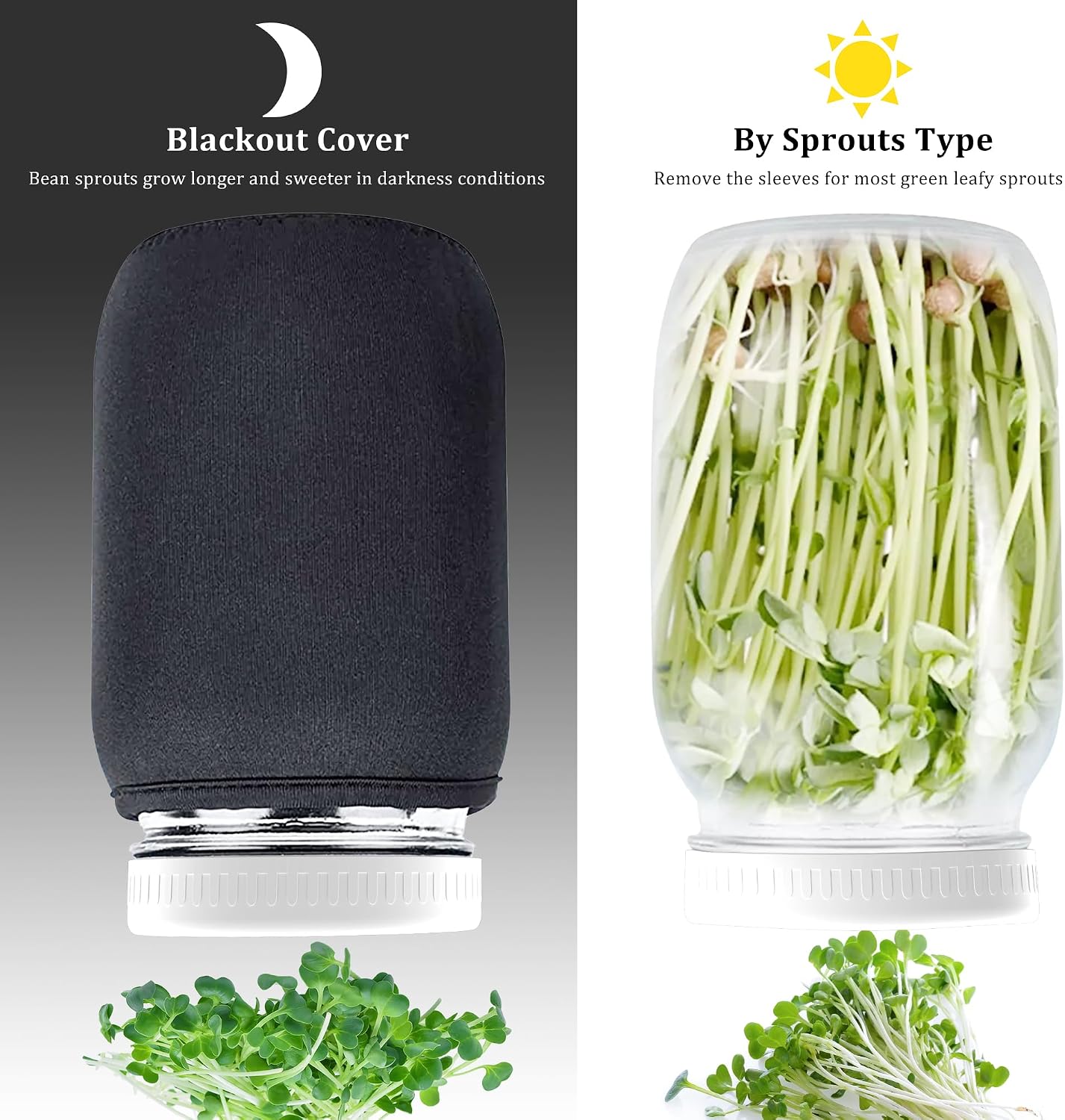 Detalle de Sprouting Jar Kit, 2 × 32 oz