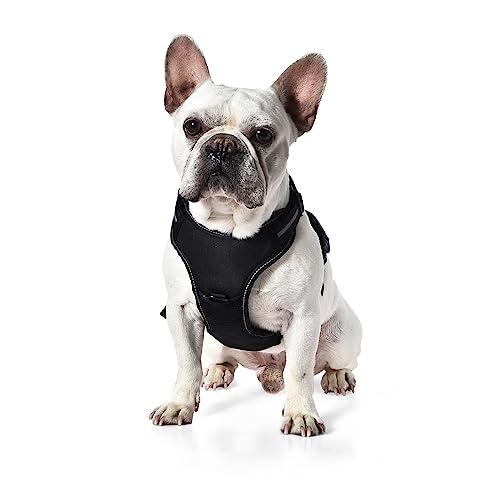 Detalle 2 de Amazon Basics Arnés perro sin tirones pequeño