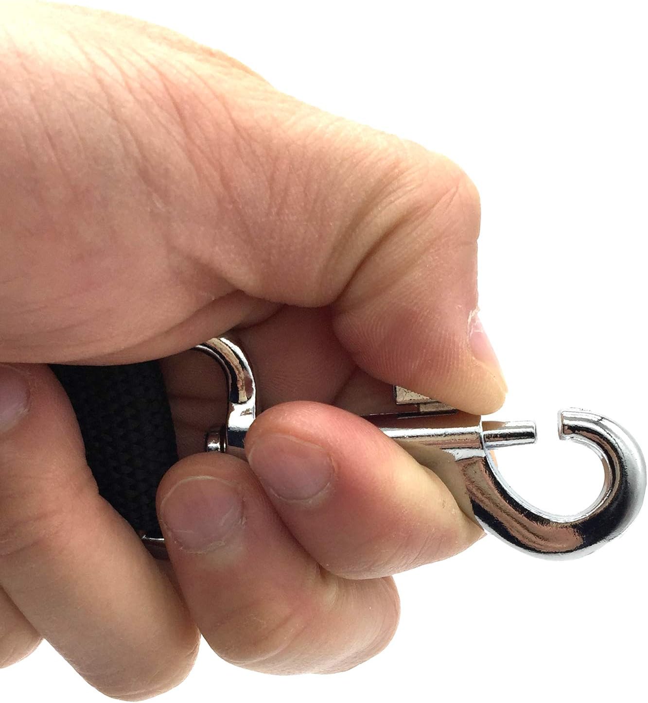 Detalle de Nylon Dog Leash in Rainbow