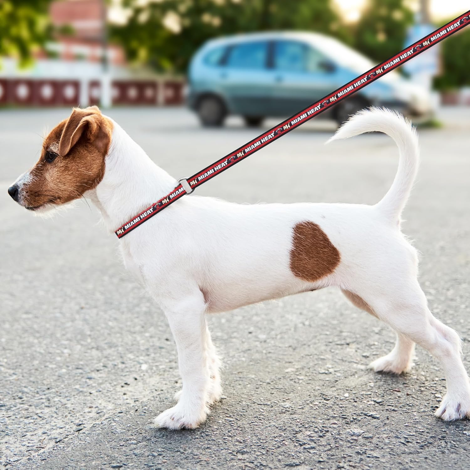 Detalle de NBA Miami Heat Heavy-Duty Dog Leash (Size Small) with Metal Swivel Buckle