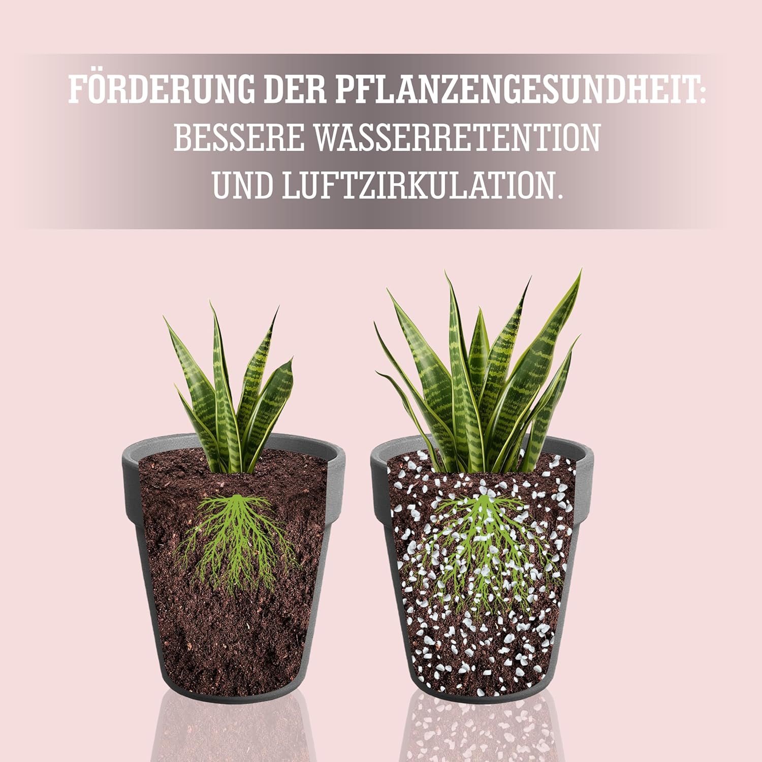 Thumbnail 3 de LERAVA® Perlite für Pflanzen (8L) – Grobkörniger Perlit zur Bodenverbesserung