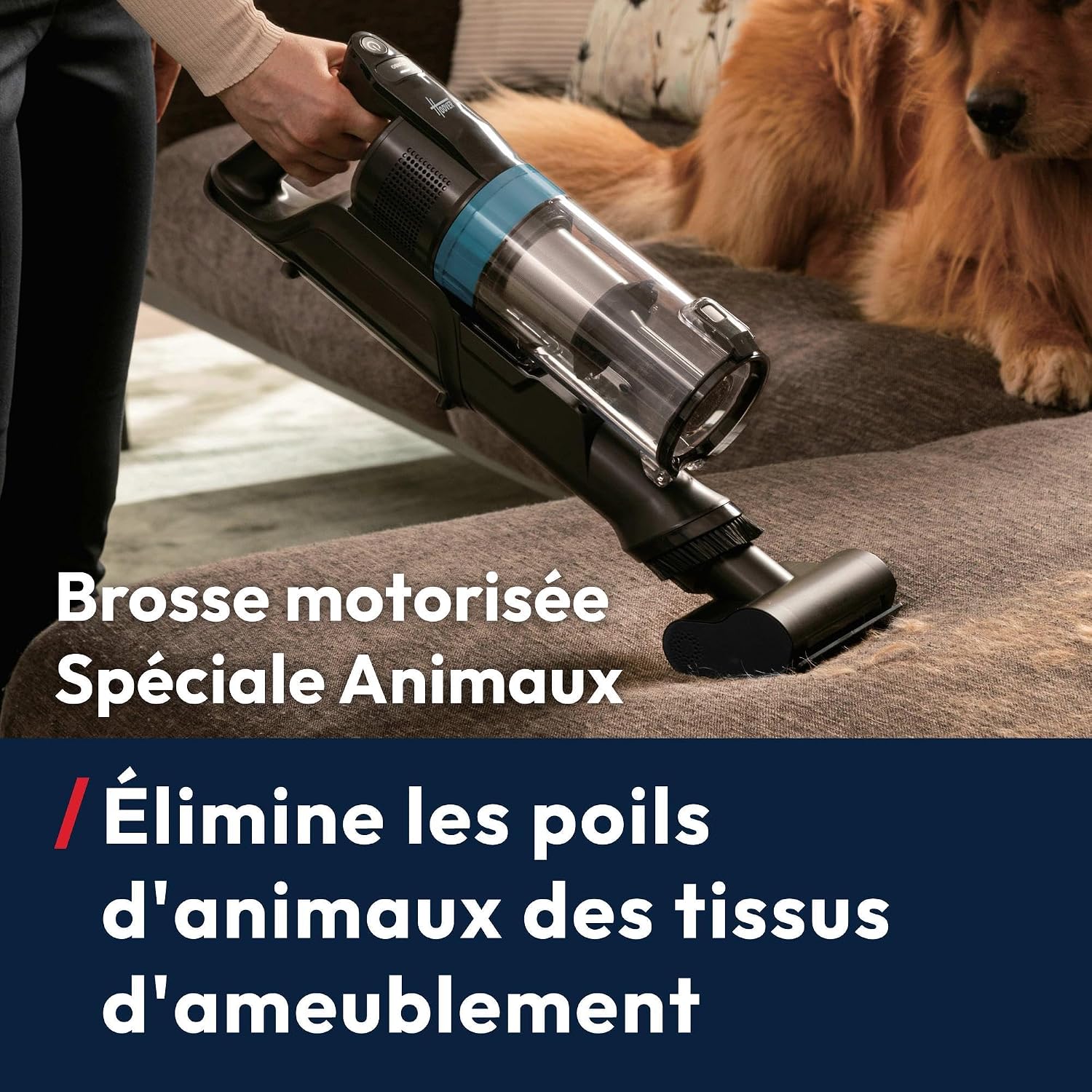 Thumbnail 5 de Hoover HF1 Plus Aspirateur Balai Puissant
